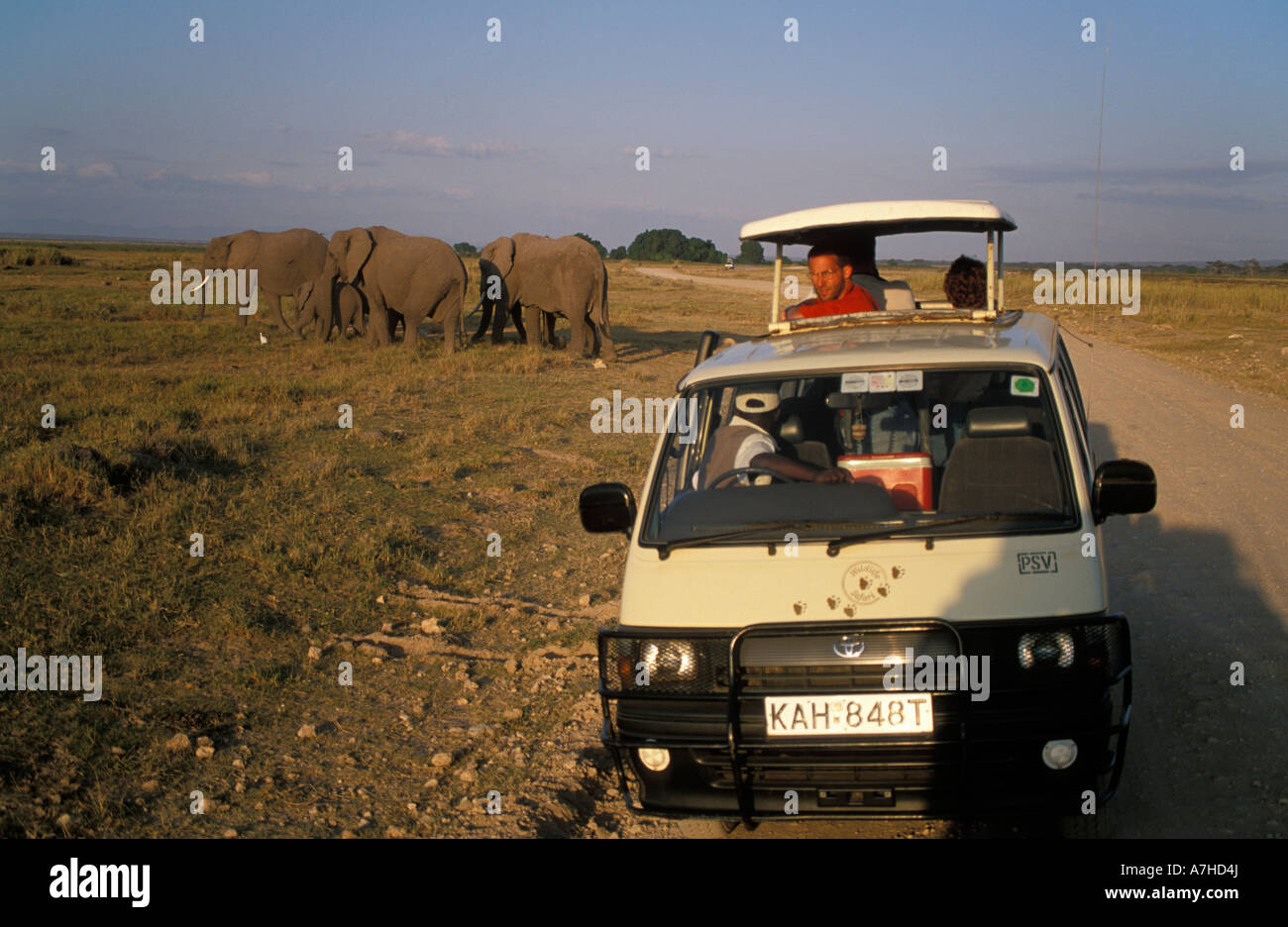 I turisti a guardare gli elefanti africani, Loxodonta africana africana, Amboseli National Park, Kenya Foto Stock