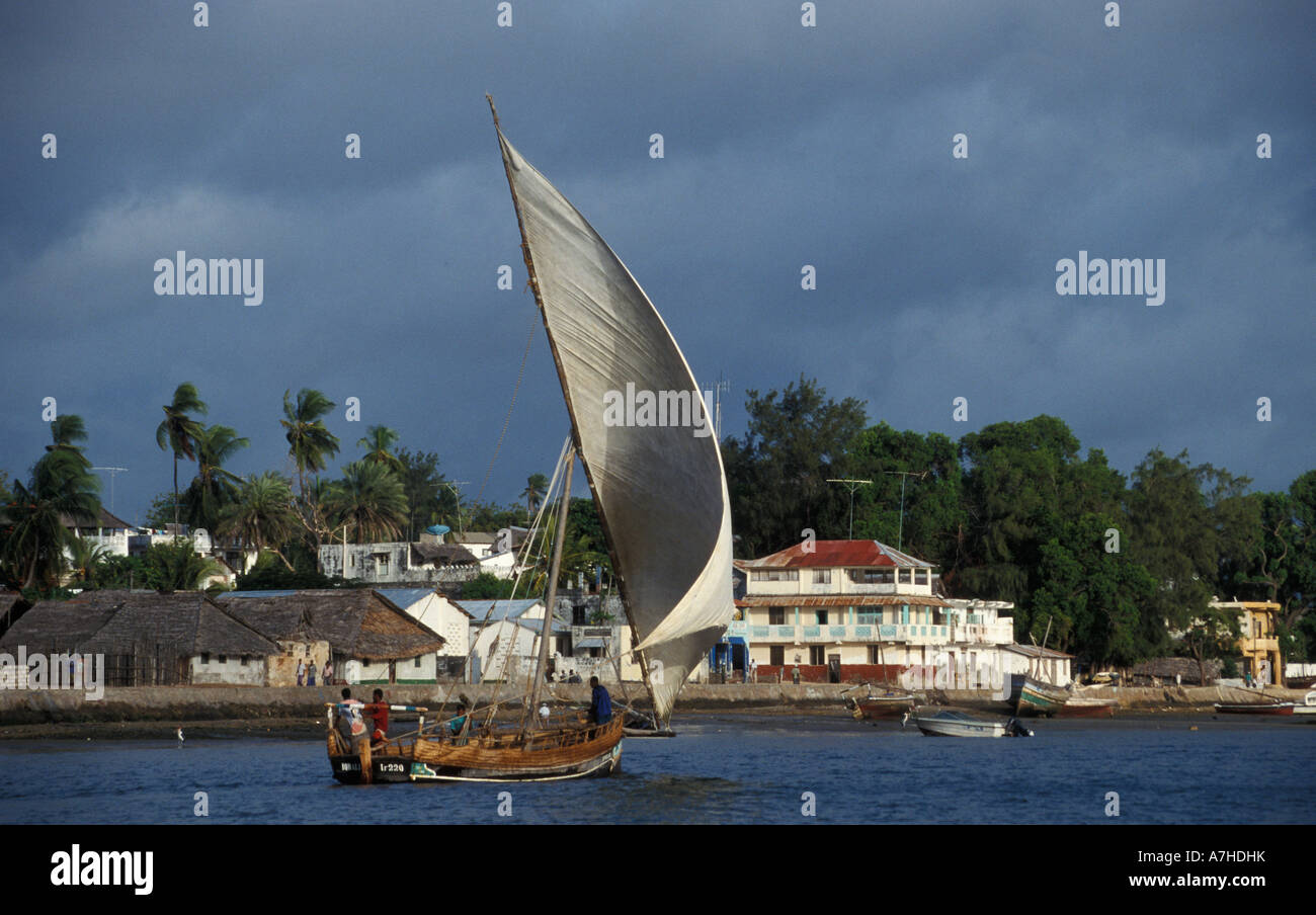 Il swahili dhow sailing passato città di Lamu, l'arcipelago di Lamu, Kenya Foto Stock