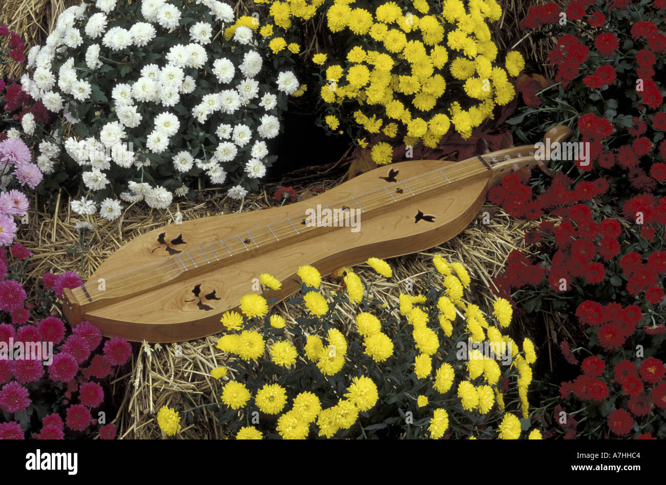 NA, STATI UNITI D'AMERICA, Kentucky, Berea). Fatte a mano dulcimer tra mamme a Berea College Foto Stock