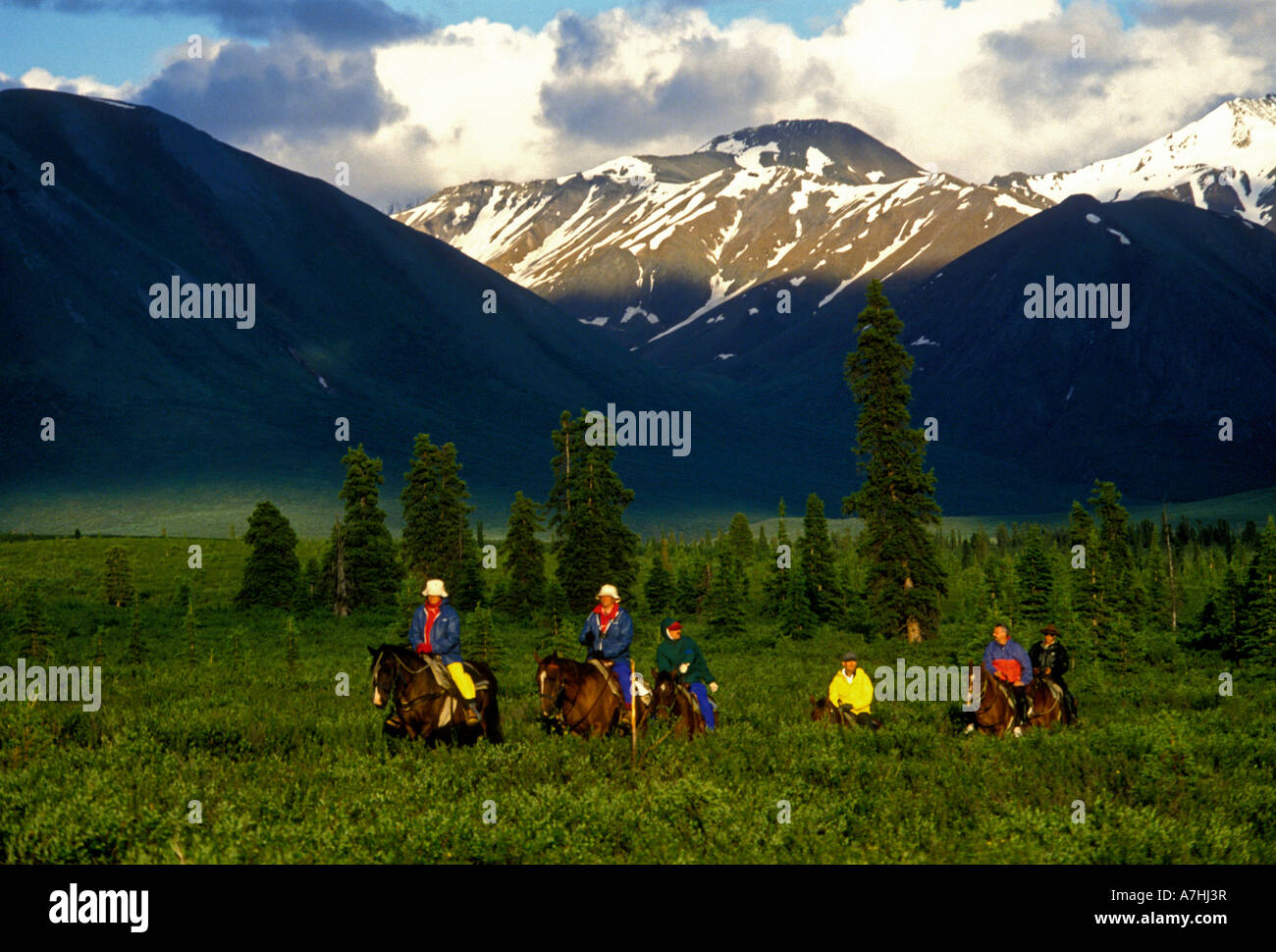 Persone, turisti, a cavallo, equitazione, maneggio cavalli, legno River Valley, Mt Deborah, Alaska Range, Alaska, Stati Uniti, America del Nord Foto Stock