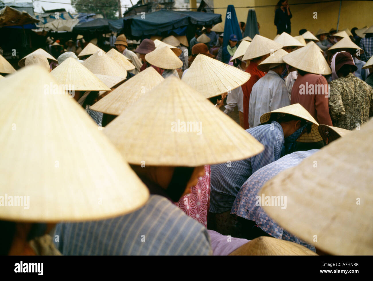 Una folla di persone che indossano conica cappelli di bambù Foto Stock
