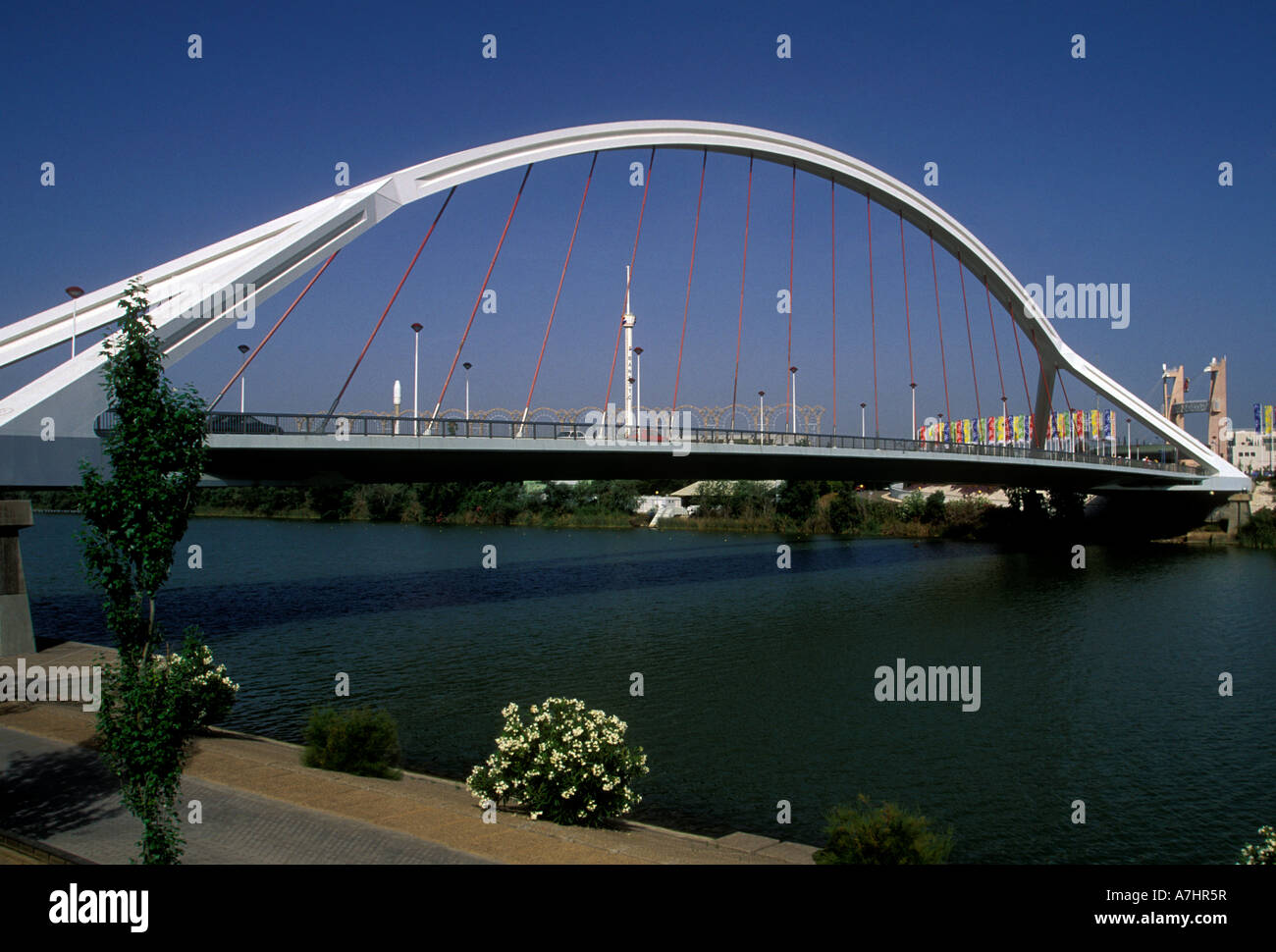 Puente de la Barqueta, ponte Barqueta, Puente Mapfre, ponte di sospensione, il fiume Guadalquivir, Siviglia, provincia di Siviglia, Spagna, Europa Foto Stock