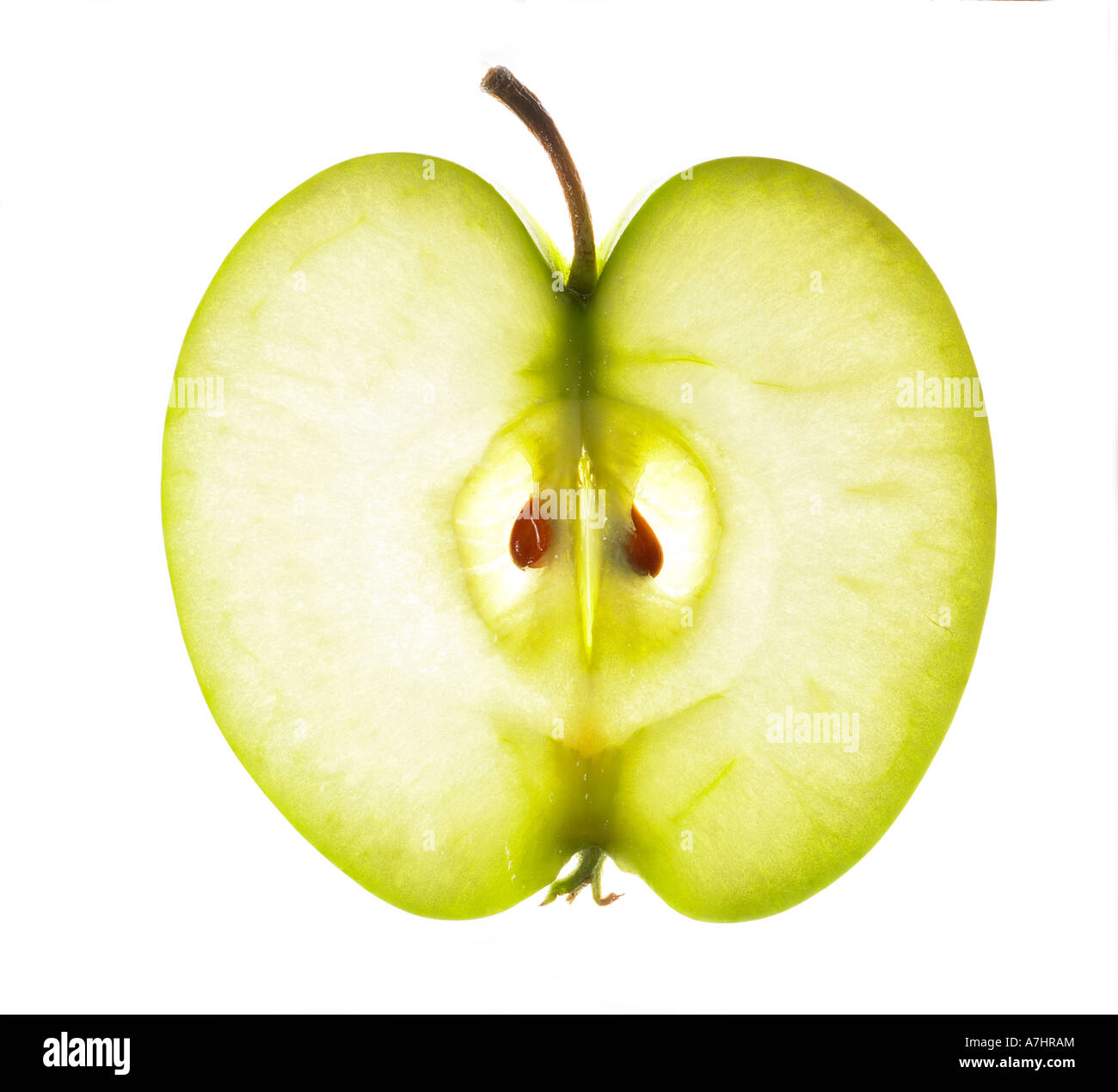 Mokyler - Frutta artificiale, 10 mele di frutta artificiale, modello di mela verde artificiale, mela verde, falso frutta decorativa per casa, feste, fotografie, decorazioni per matrimoni