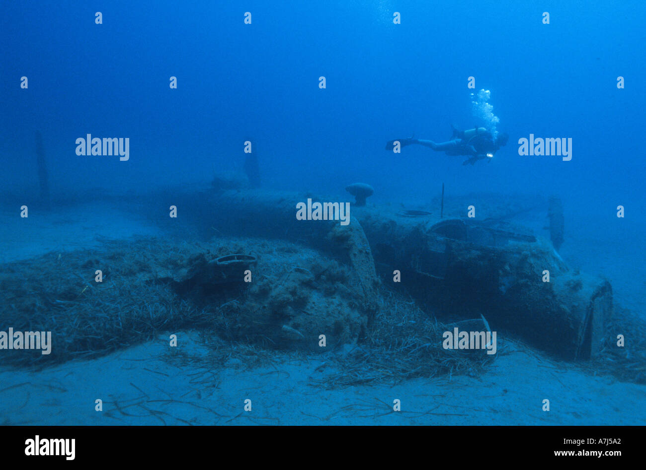 Sommozzatore esplorando il relitto della B25 bomber off della Corsica nel Mediterraneo Foto Stock