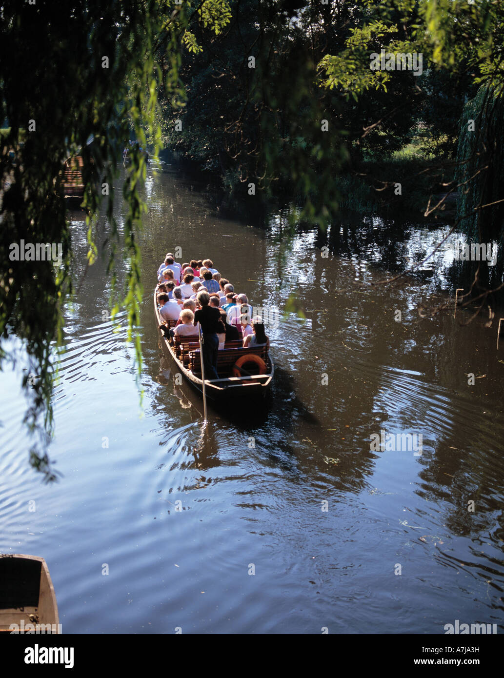 D-Luebbenau, foresta di Sprea, UNESCO Biosphaerenreservat Spreewald, Lusazia inferiore, nel Land di Brandeburgo, in gondola con i turisti in un canale nella foresta di Sprea, turisti, barca, canale, sul fiume fiume paesaggio, sul delta del fiume, la navigazione del delta del fiume, acque interne, foresta, per Foto Stock