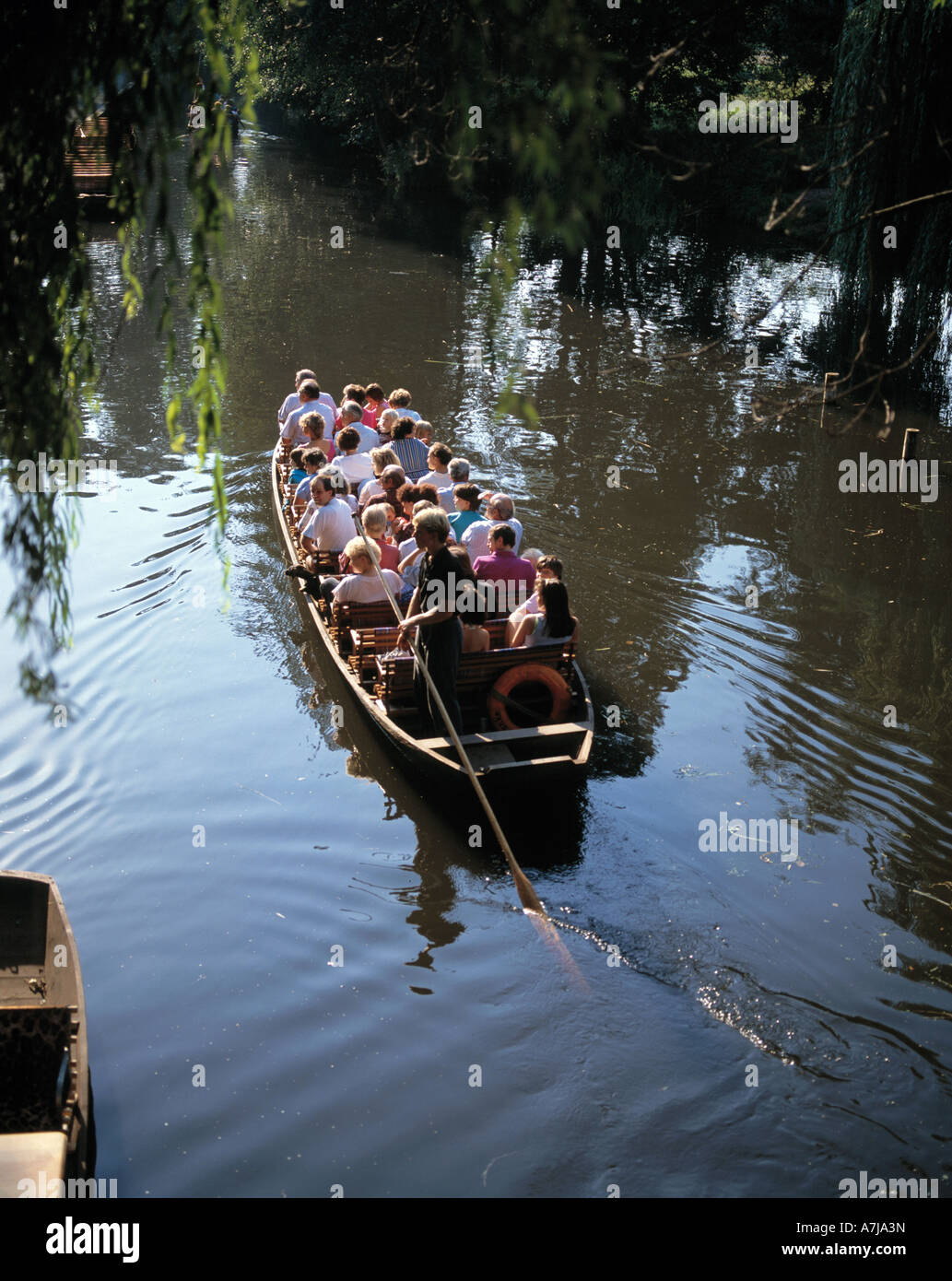 D-Luebbenau, foresta di Sprea, UNESCO Biosphaerenreservat Spreewald, Lusazia inferiore, nel Land di Brandeburgo, in gondola con i turisti in un canale nella foresta di Sprea, turisti, barca, canale, sul fiume fiume paesaggio, sul delta del fiume, la navigazione del delta del fiume, acque interne, foresta, per Foto Stock