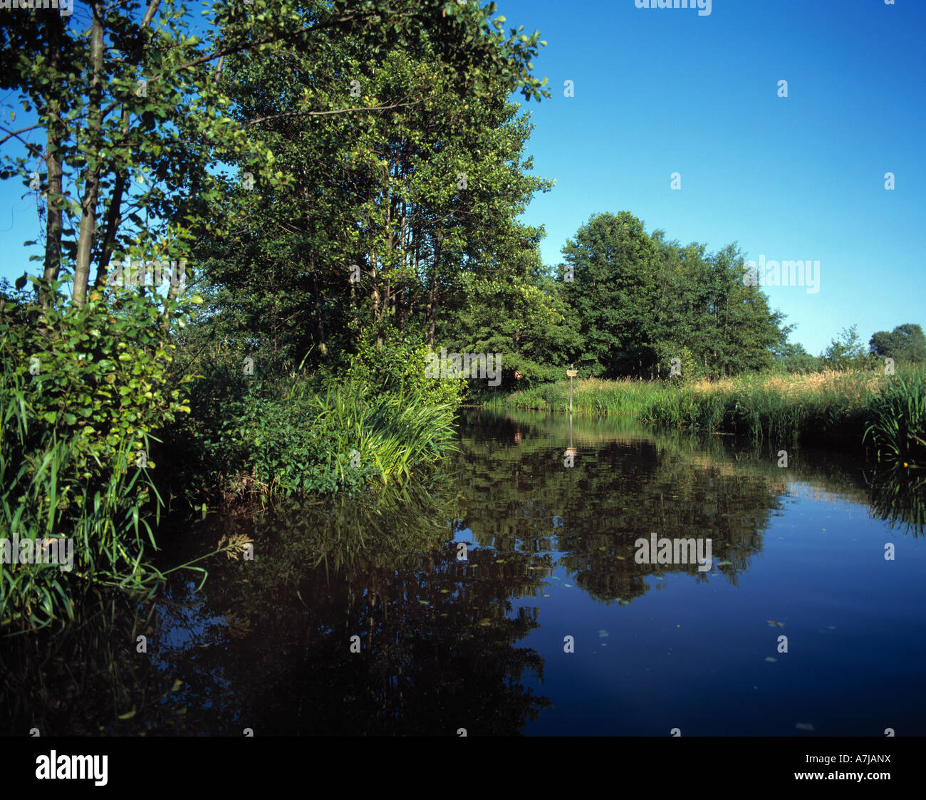 In Spreewaldlandschaft Luebbenau, Biosphaerenreservat Spreewald, Niederlausitz, Brandenburg Foto Stock