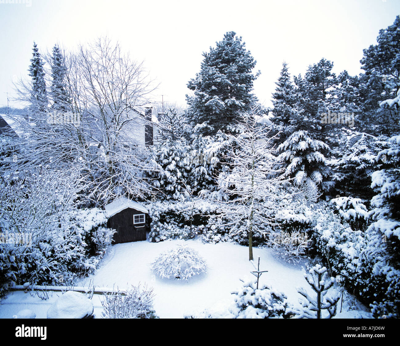 Jahreszeiten, inverno, verschneiter Garten Foto Stock