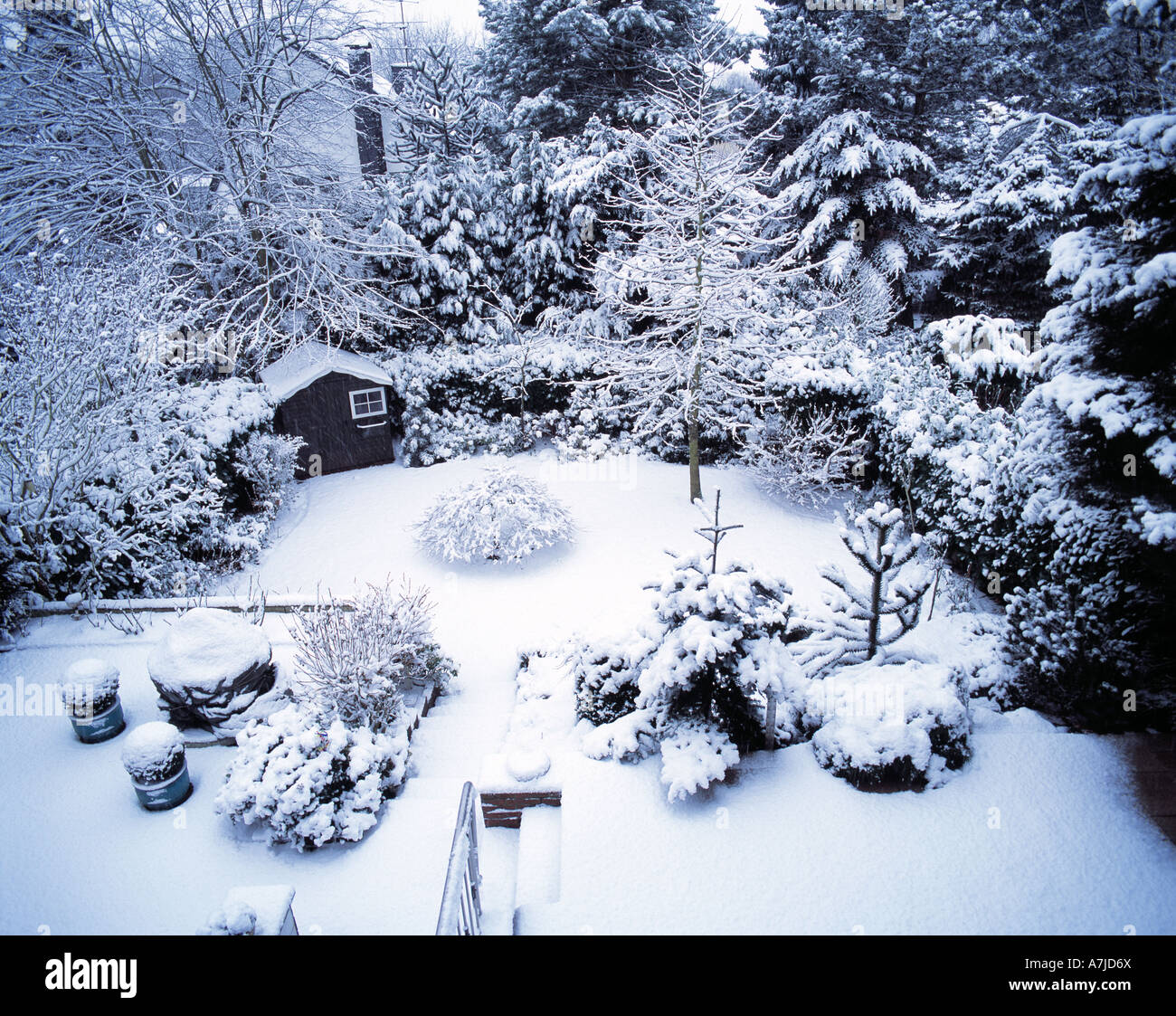 Jahreszeiten, inverno, verschneiter Garten Foto Stock