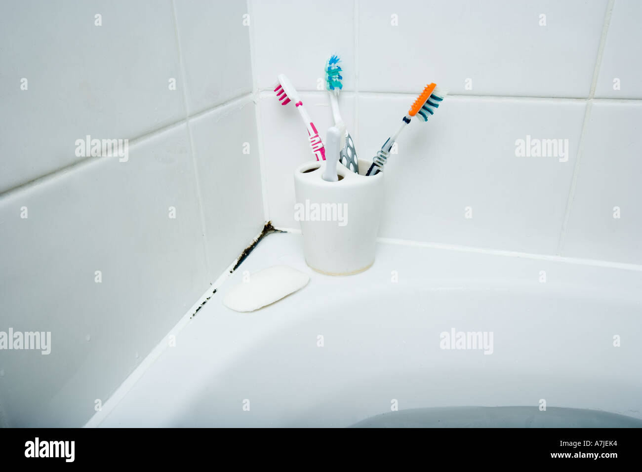 Gli spazzolini da denti in un bianco tazza di porcellana in un angolo della vasca da bagno Foto Stock