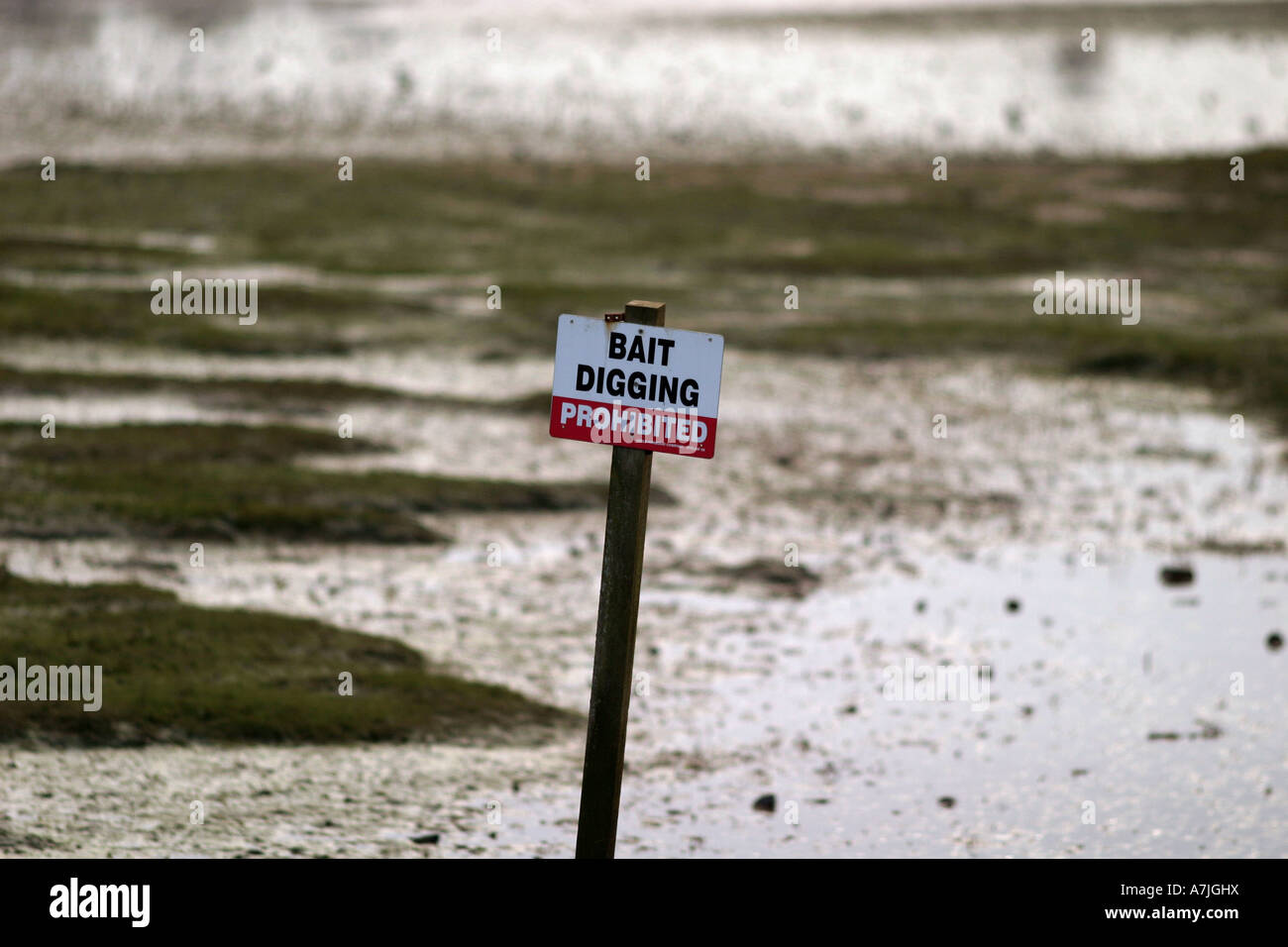 Esca lo scavo vietato firmare Hayle Cornwall Regno Unito Foto Stock