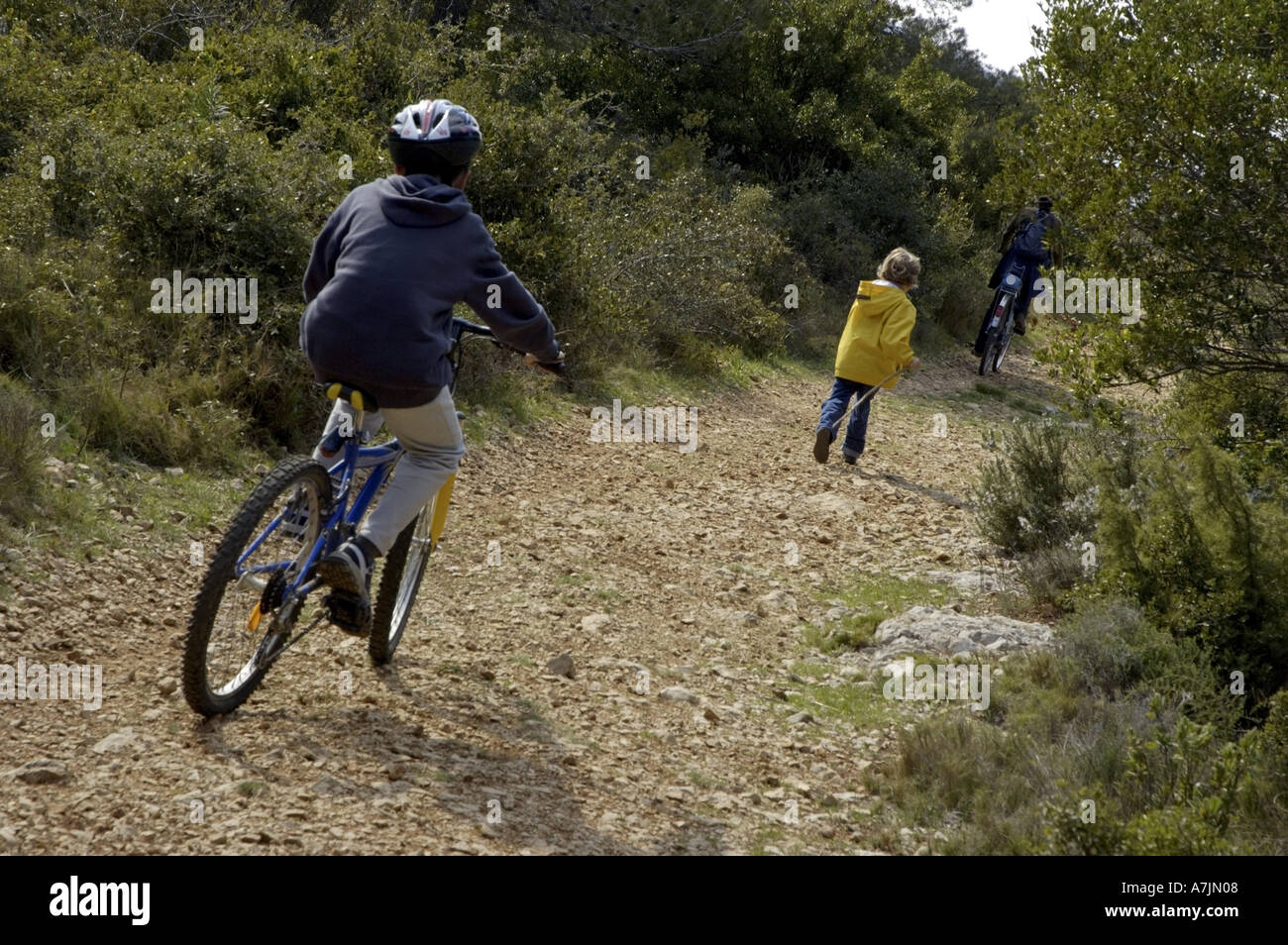 Francia Provenza una famiglia mountain bike su una strada sterrata Foto Stock
