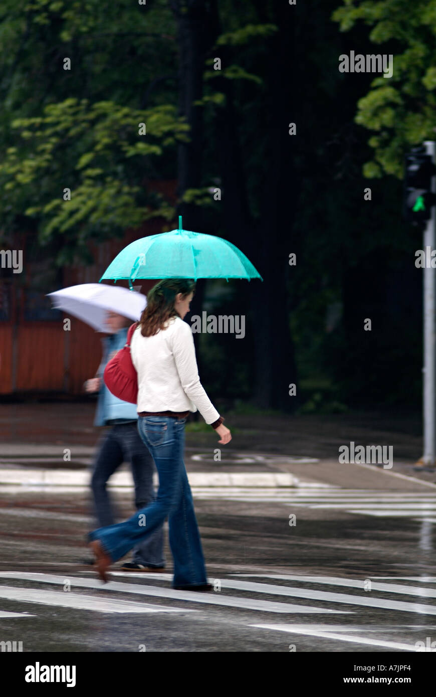 Giovane donna attraversare una strada trafficata in corrispondenza di un incrocio di Zebra sotto la pioggia Foto Stock