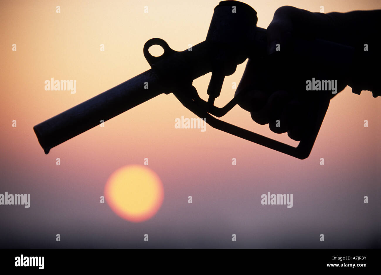 Pompa di benzina con il sorgere del sole in background. Foto Stock