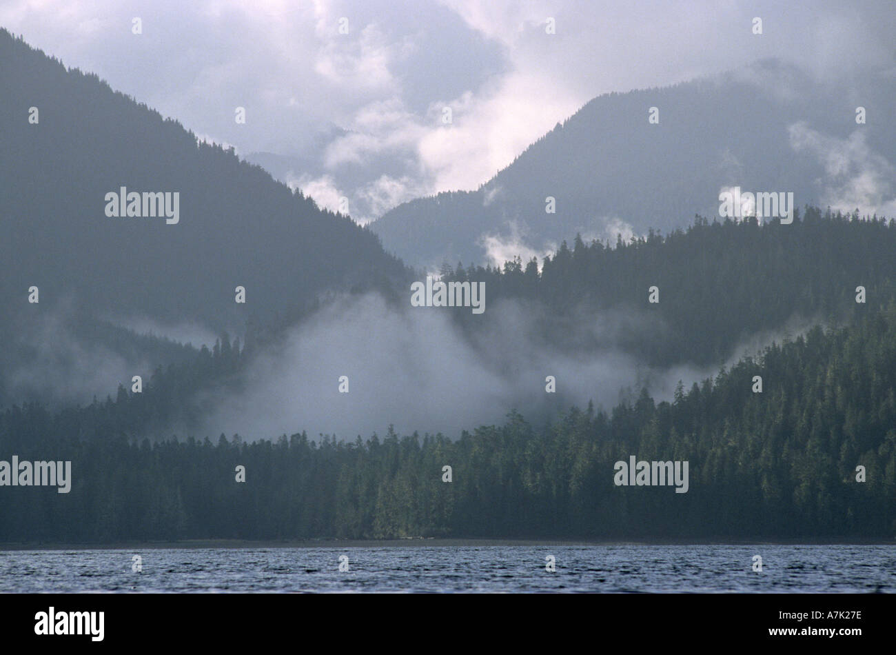 Johnstone Strait BC Canada Foto Stock