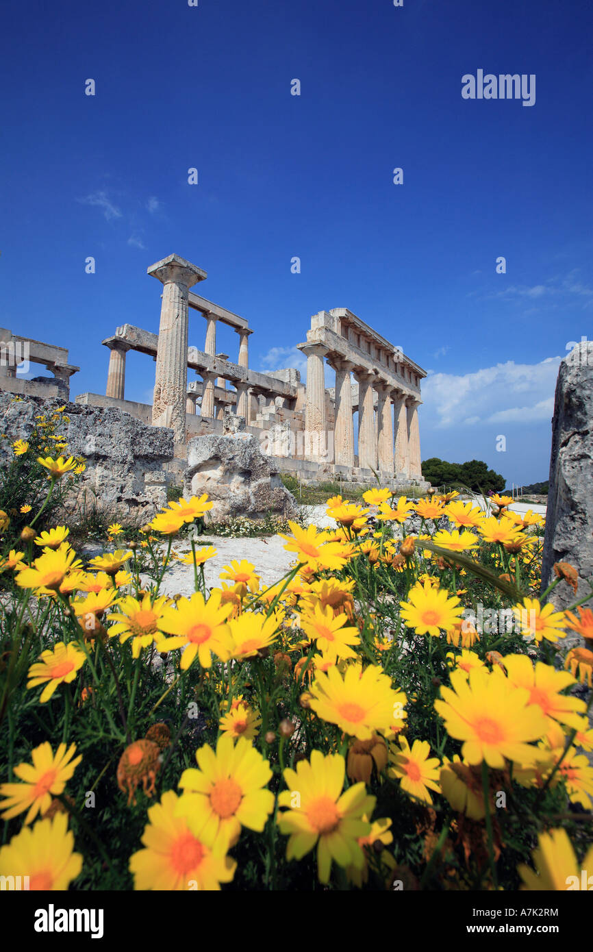 Grecia GOLFO SARONICO EGINA ISOLA L'antico tempio dorico di AFAIA permanente sulla cima di una collina al di sopra di Aghia Marina DI PRIMAVERA Foto Stock