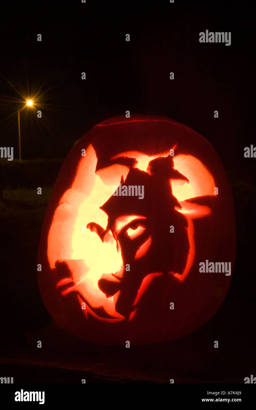 Lupo Zucca di Halloween Foto Stock