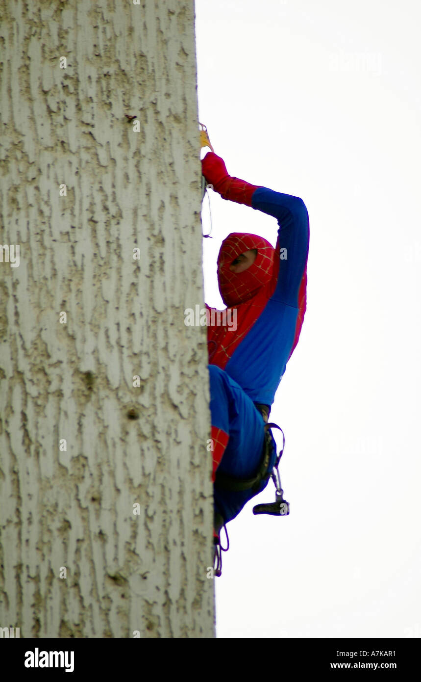 Spiderman salendo una parete Foto Stock