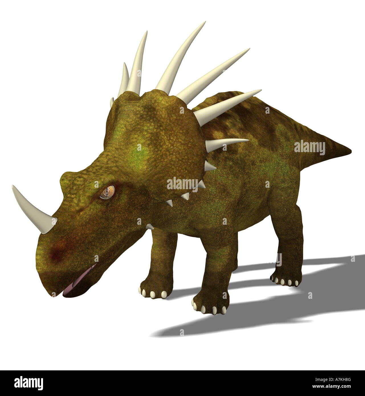 Styracosaurus dinosauro Foto Stock
