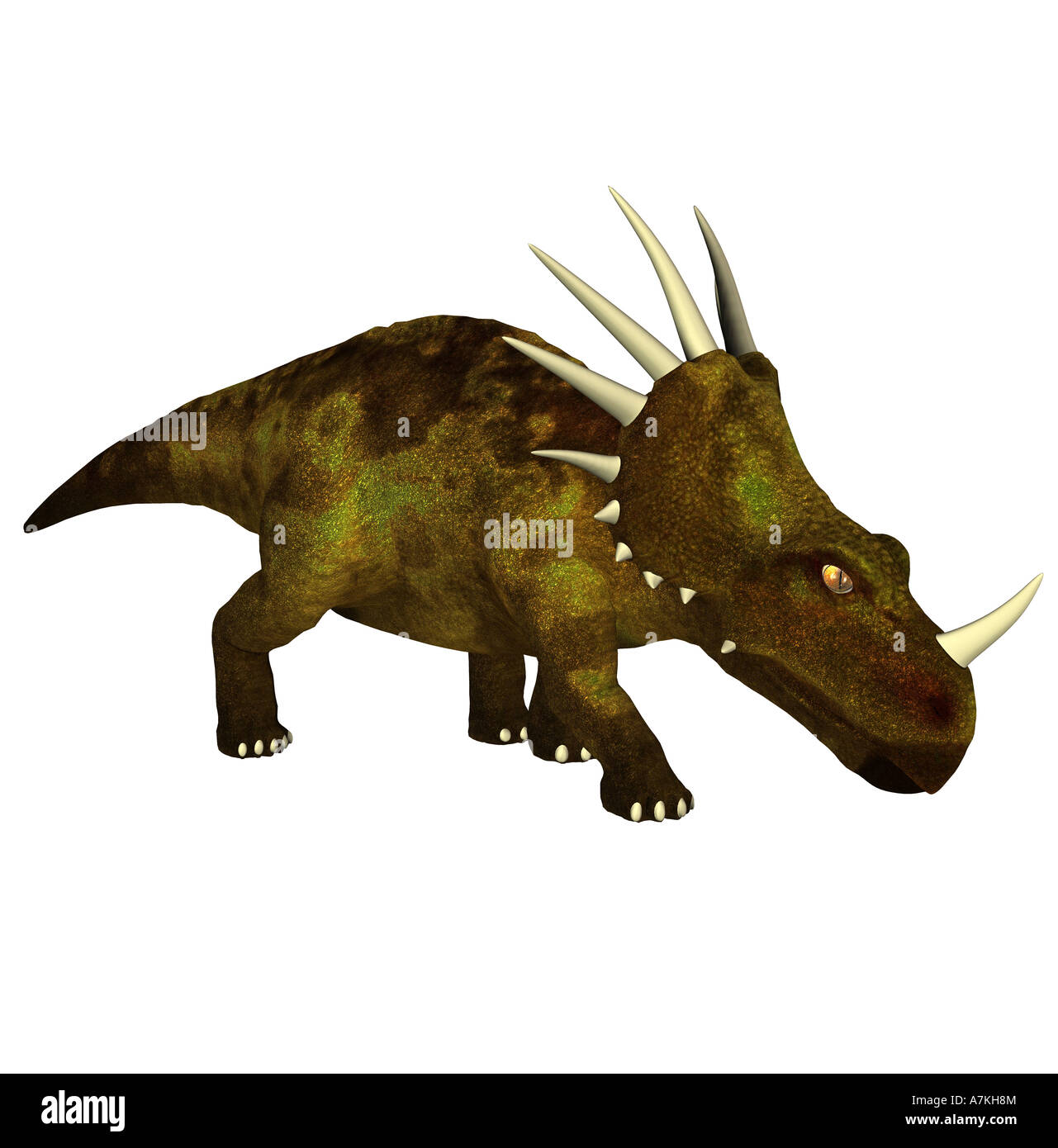 Styracosaurus dinosauro Foto Stock