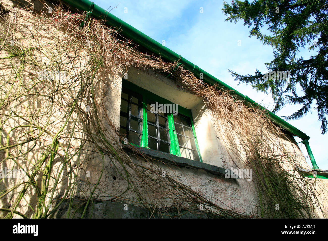 Famiglia wordsworth museum ivy attorno al finestrino in inverno villaggio di Grasmere Lake District cumbria Foto Stock