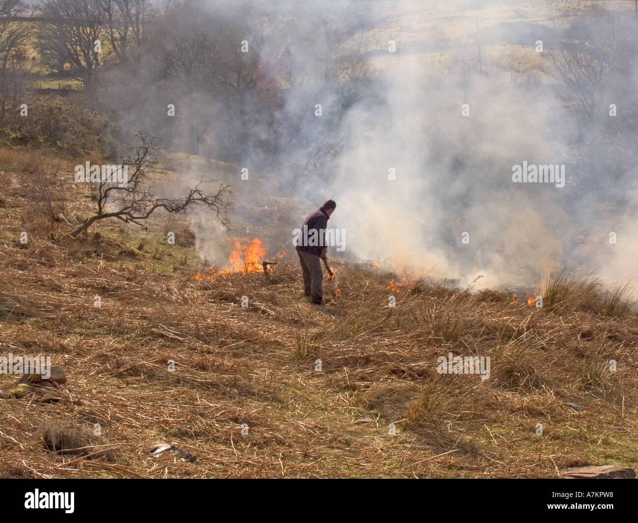 GWYNEDD North Wales UK marzo un uomo che fa bruciando controllato delle terre incolte Foto Stock