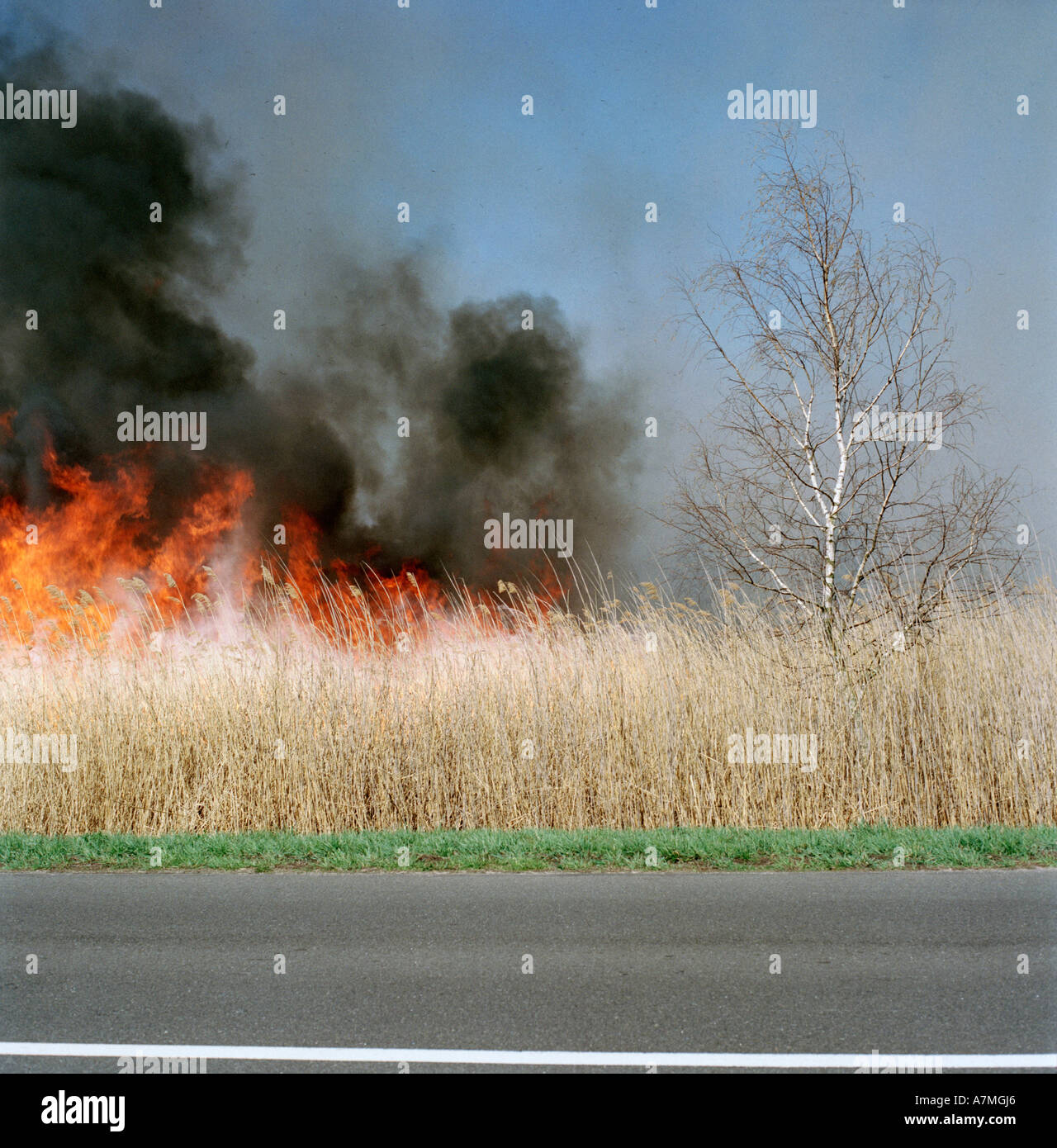 Un fuoco che arde in un campo Foto Stock