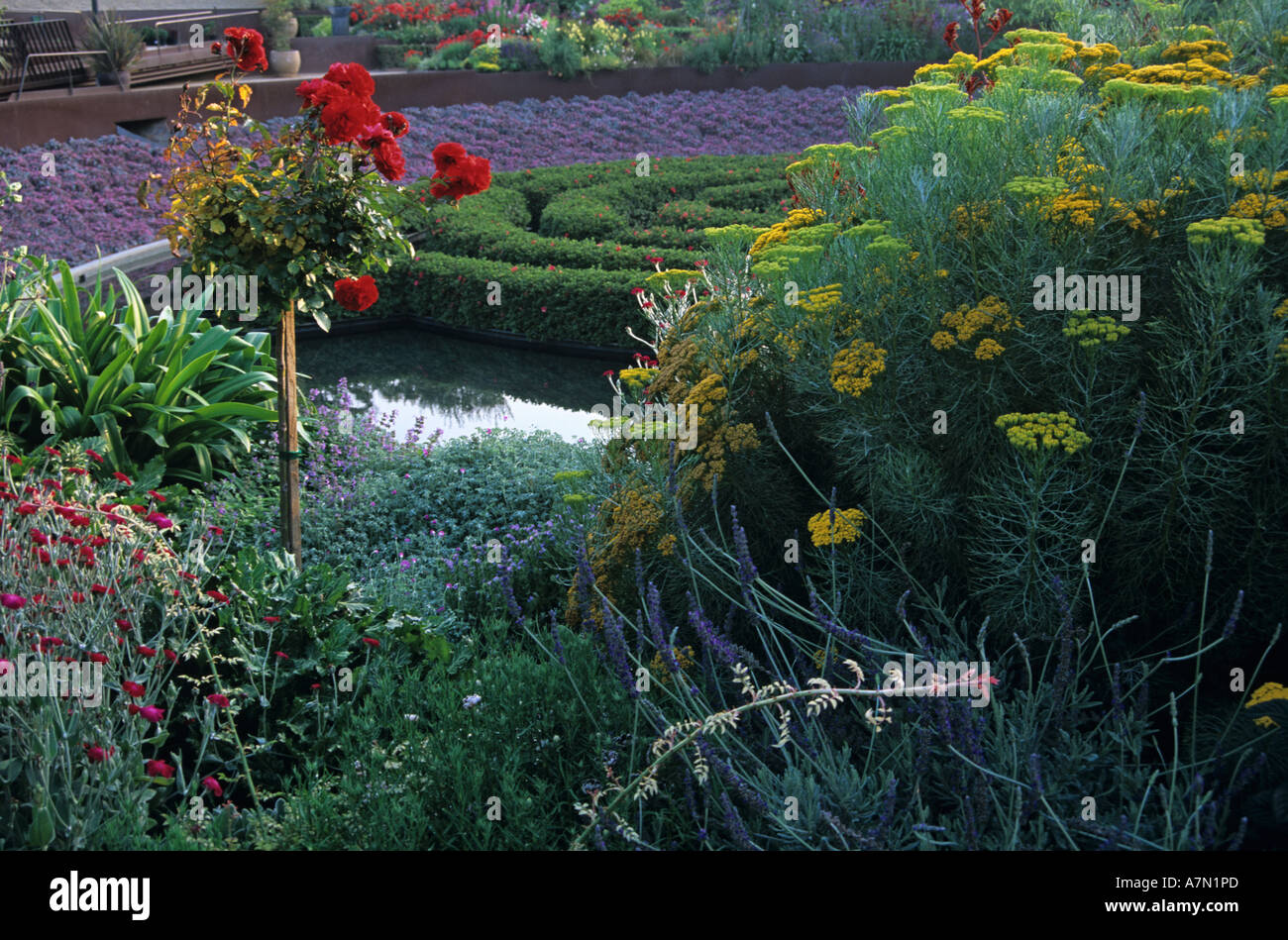 Getty Center Garden Los Angeles California progettato da Robert Irwin Foto Stock
