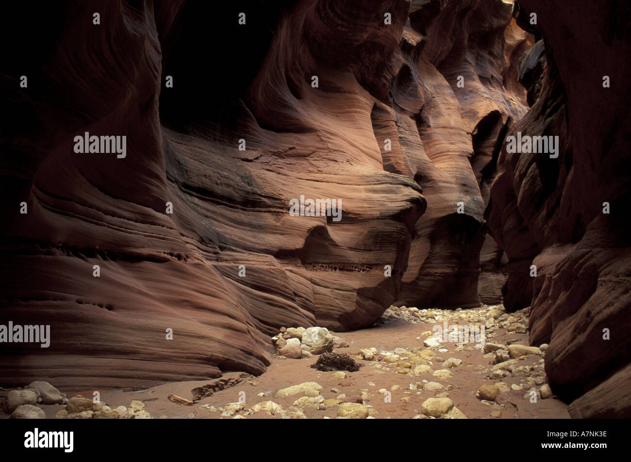 Nord America, USA, Utah, paria River Wilderness. Daino slot Gulch canyon Foto Stock