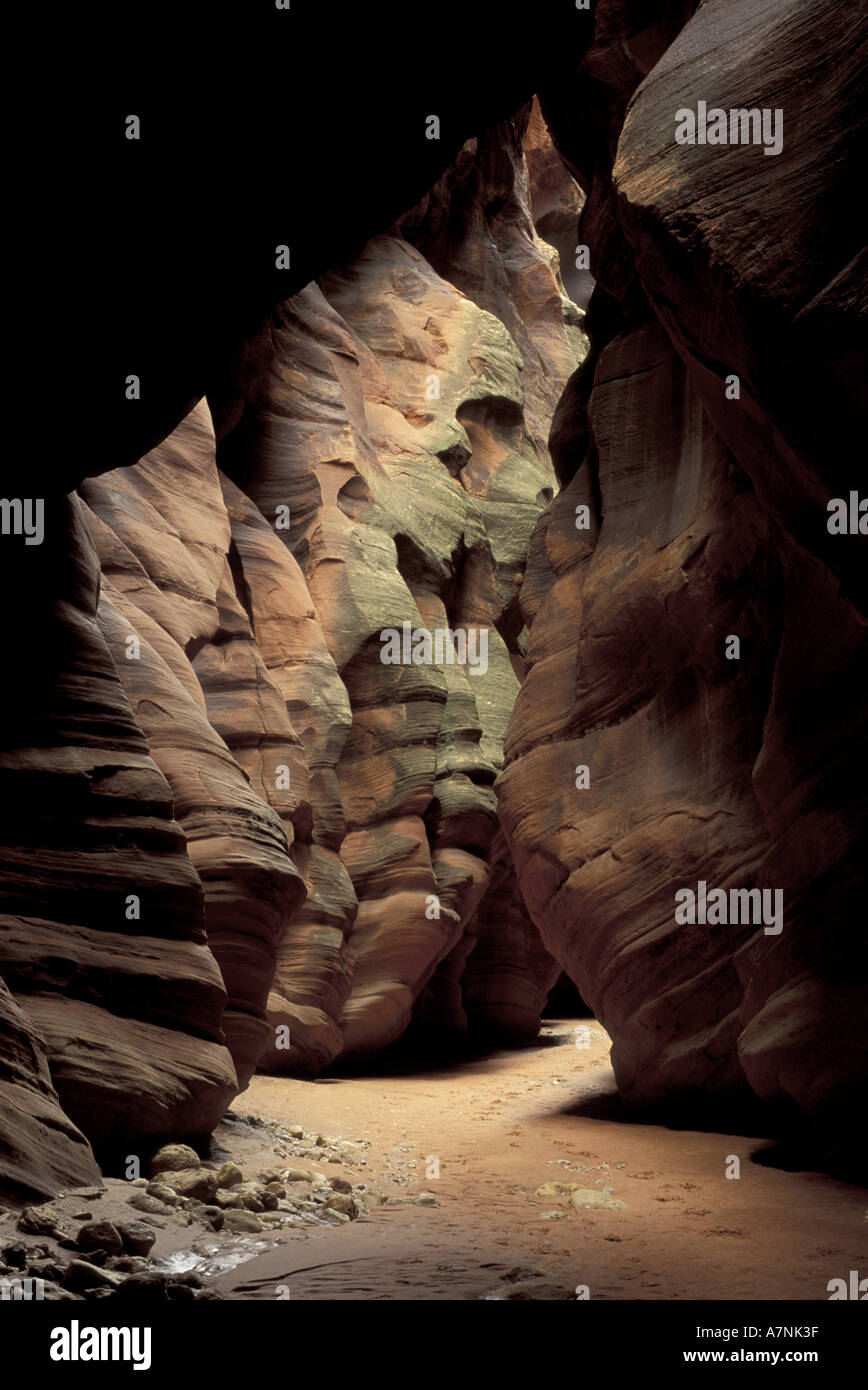 Nord America, USA, Utah, paria River Wilderness. Daino slot Gultch canyon Foto Stock