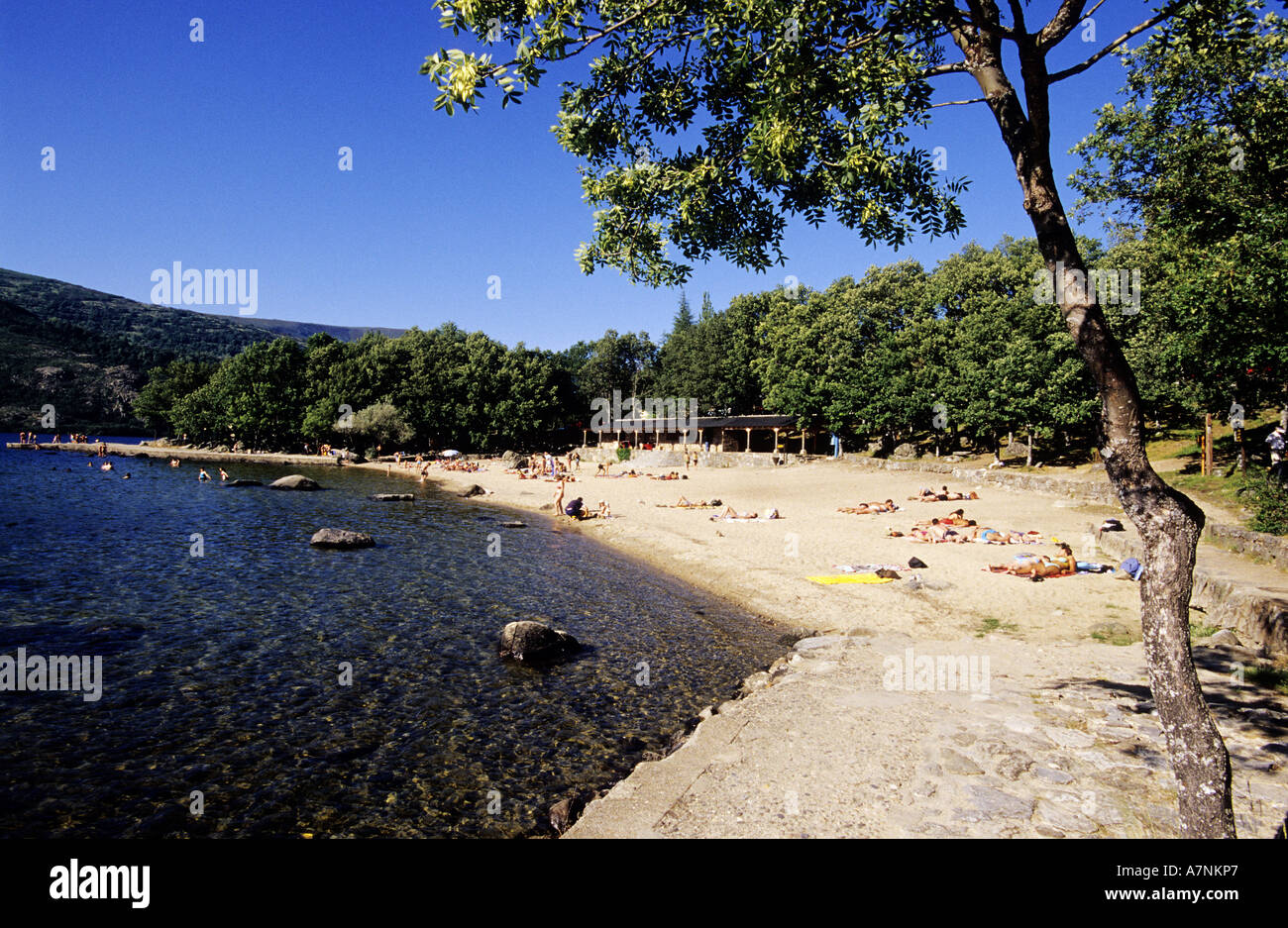 Spagna, Comunità di Castilla y León, Zamora, parco naturale del lago di  Sanabria Foto stock - Alamy