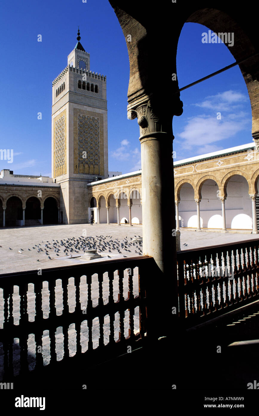 La Tunisia, Tunisi, il medina classificato come patrimonio mondiale dall' UNESCO, Ez Zitouna Grande moschea Foto Stock