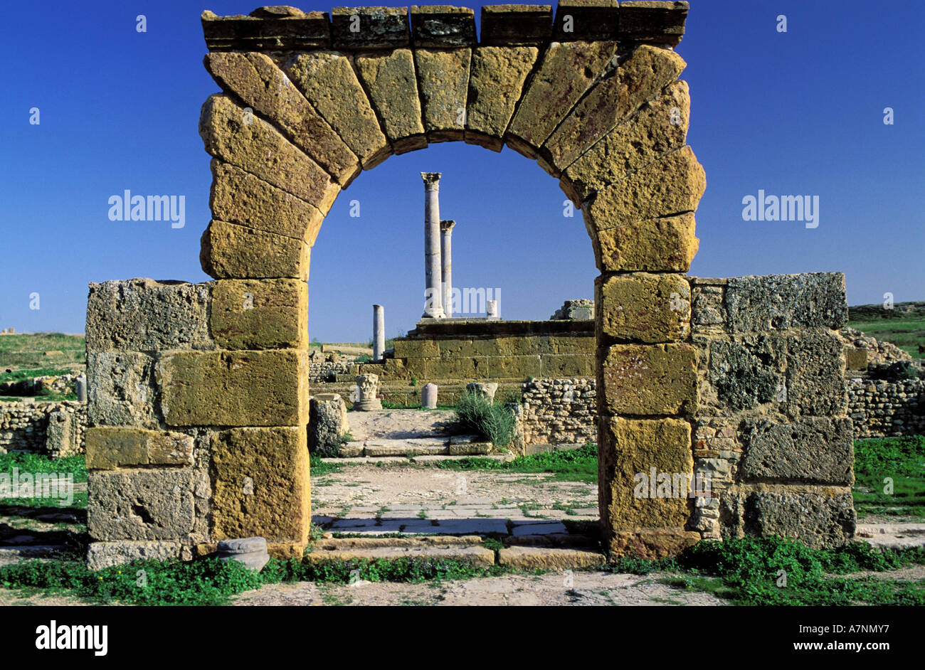 La Tunisia, regione settentrionale, Thuburgo Majus sito romano, santuario di Esculapio Foto Stock