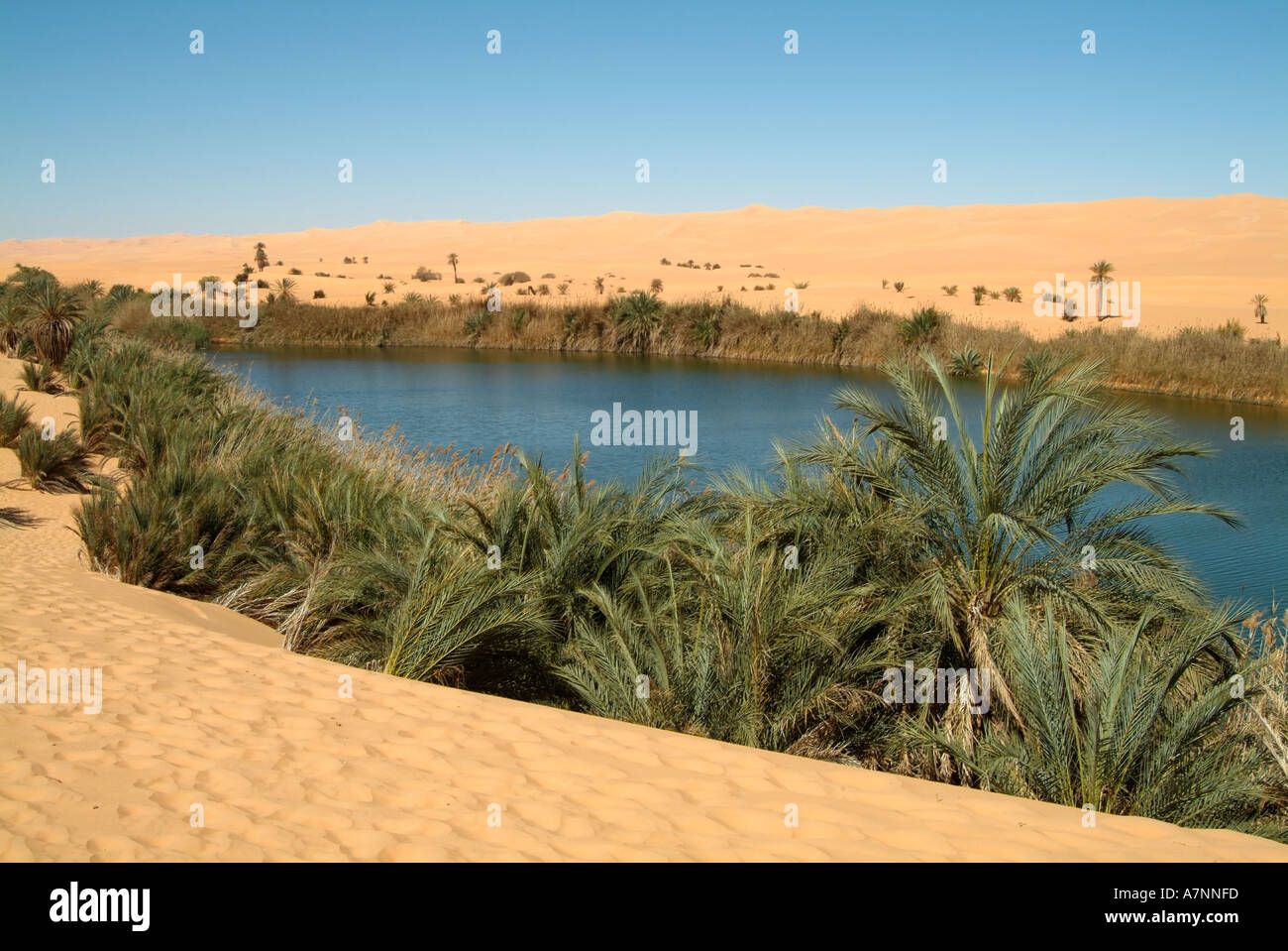 Il lago Mavo (Ubari Laghi), Oasi nel Idehan Ubari mare di sabbia, il Deserto del Sahara, Libia Foto Stock