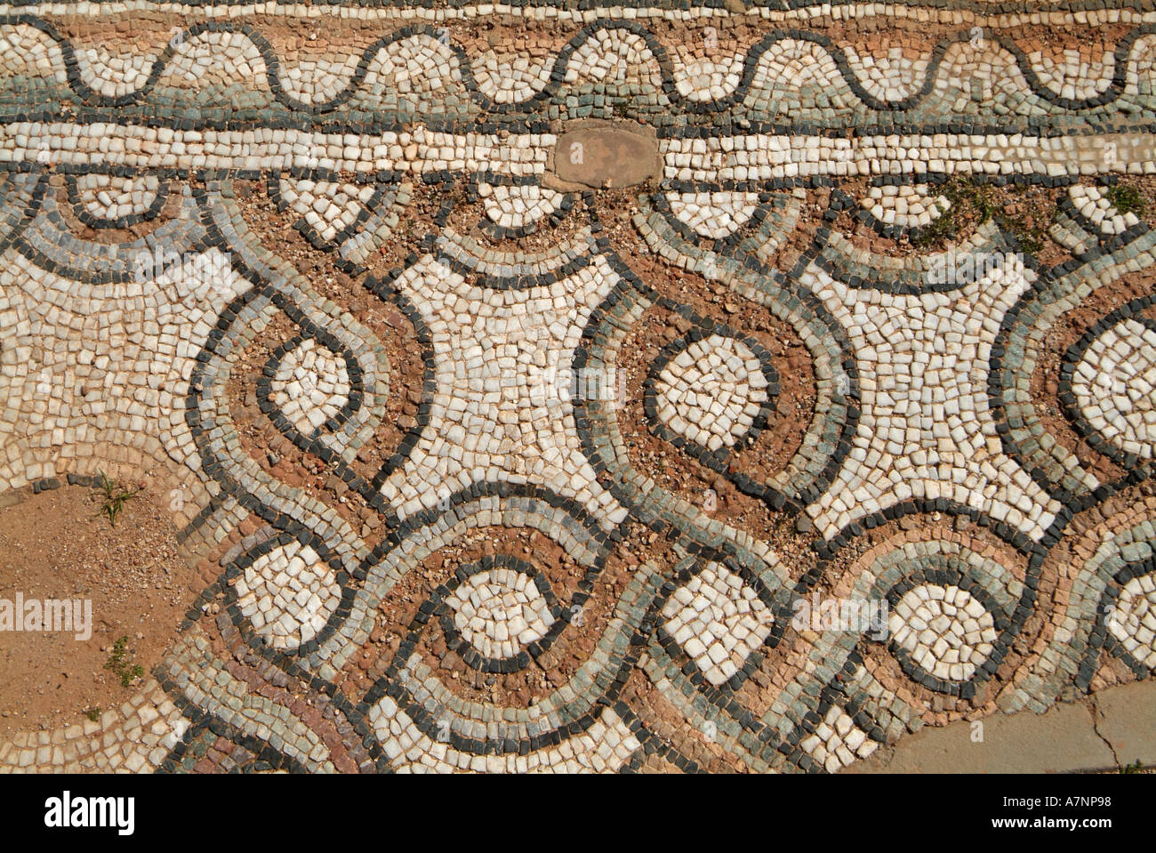 Mosaico, Chiesa Orientale, Apollonia, greco / rovine romane, Libia Foto Stock
