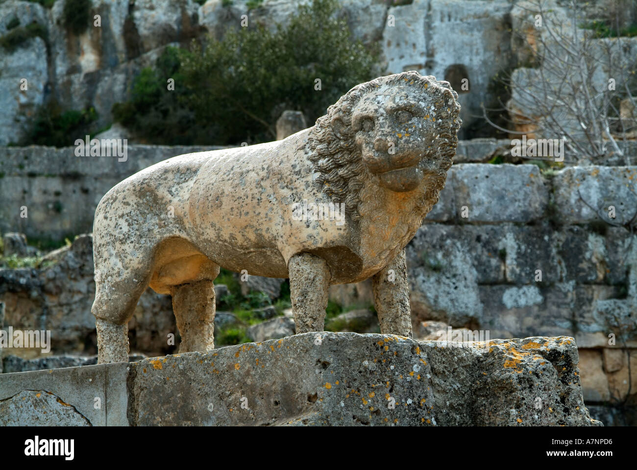 Statua di un leone al Sacro Fontana, il santuario di Apollo, Cirene greco / rovine romane, Libia Foto Stock