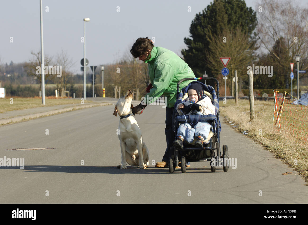 Cane domestico (Canis lupus f. familiaris), con la donna e bambino nel passeggino Foto Stock