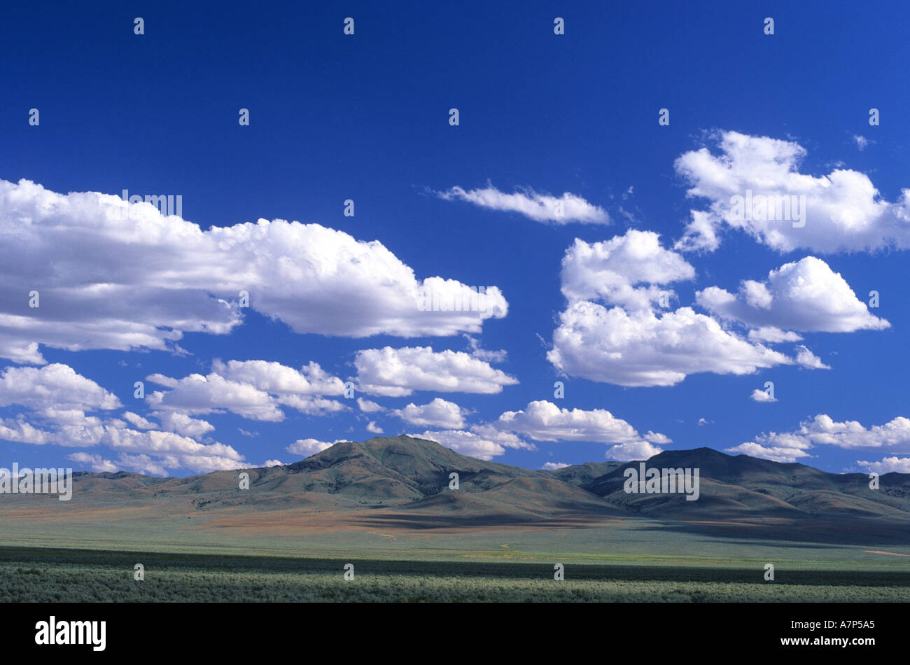 Cumulus nubi su Malheur County Oregon alta delle montagne del deserto Foto Stock