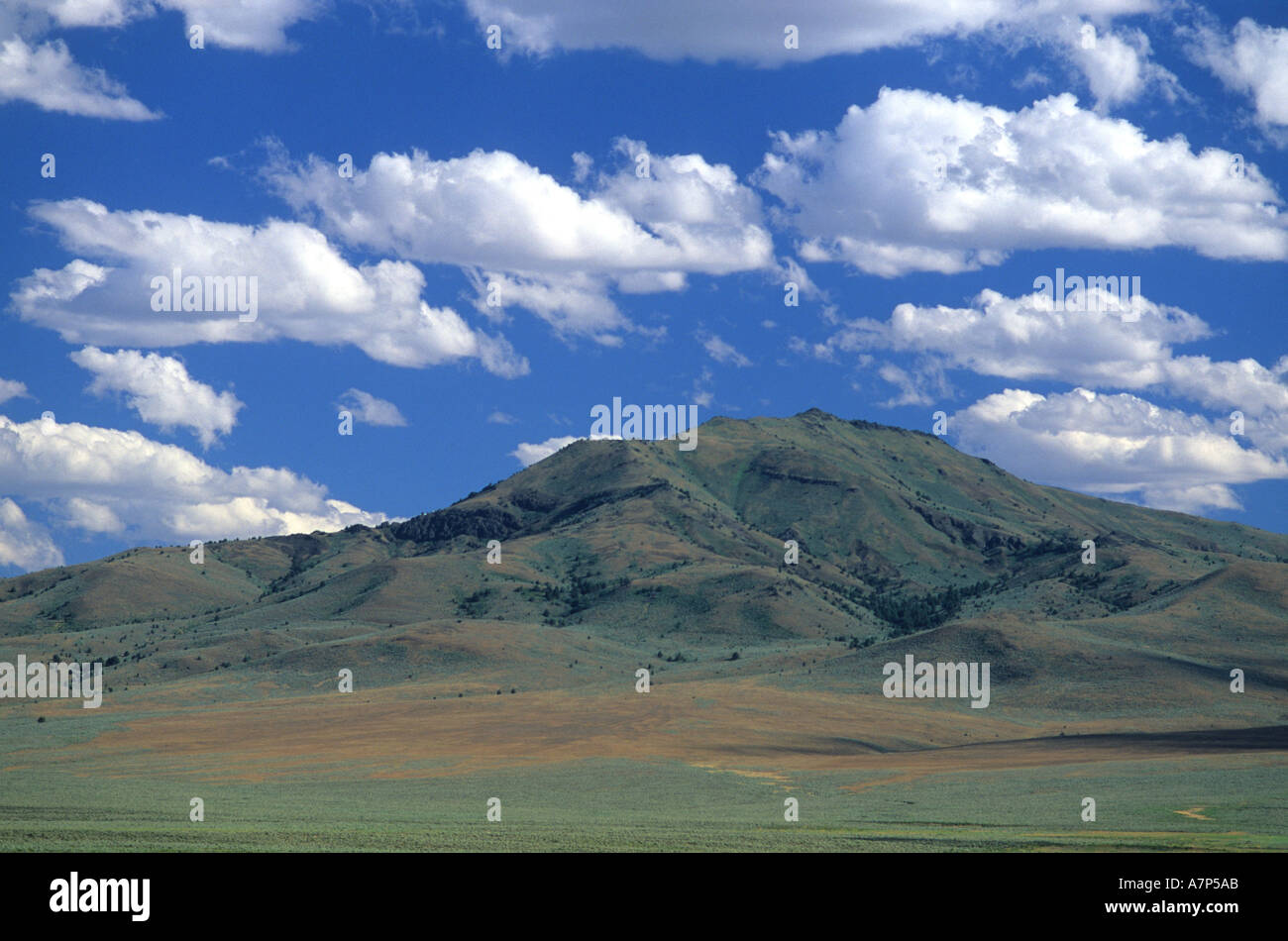 Cumulus nubi su Malheur County Oregon alta delle montagne del deserto Foto Stock