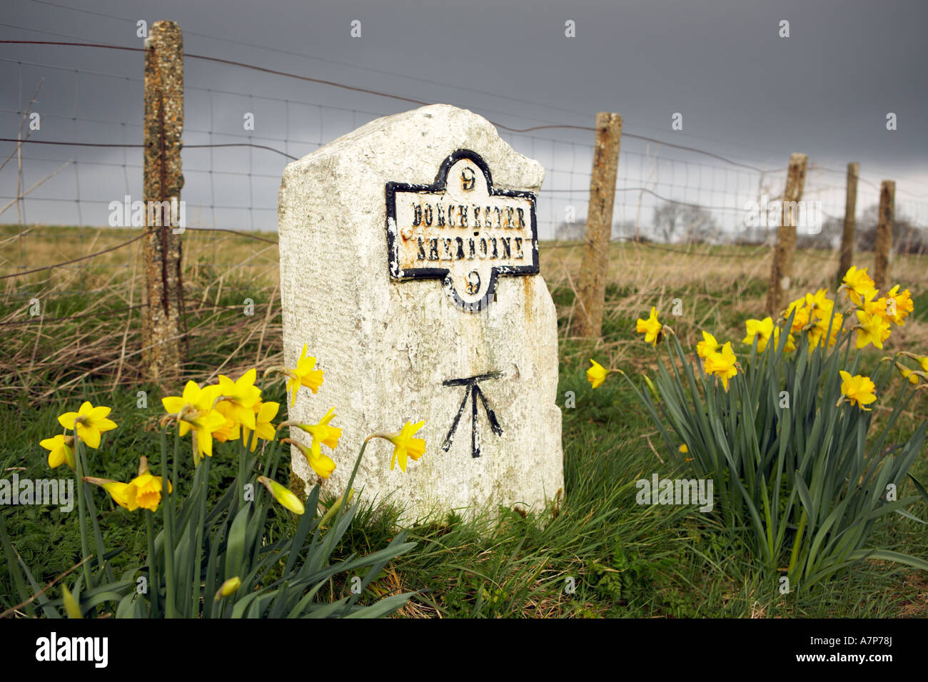 Pietra miliare sulla A352 che conferma la distanza di 9 miglia tra Dorchester e Sherborne città della contea di Dorset England Regno Unito Foto Stock