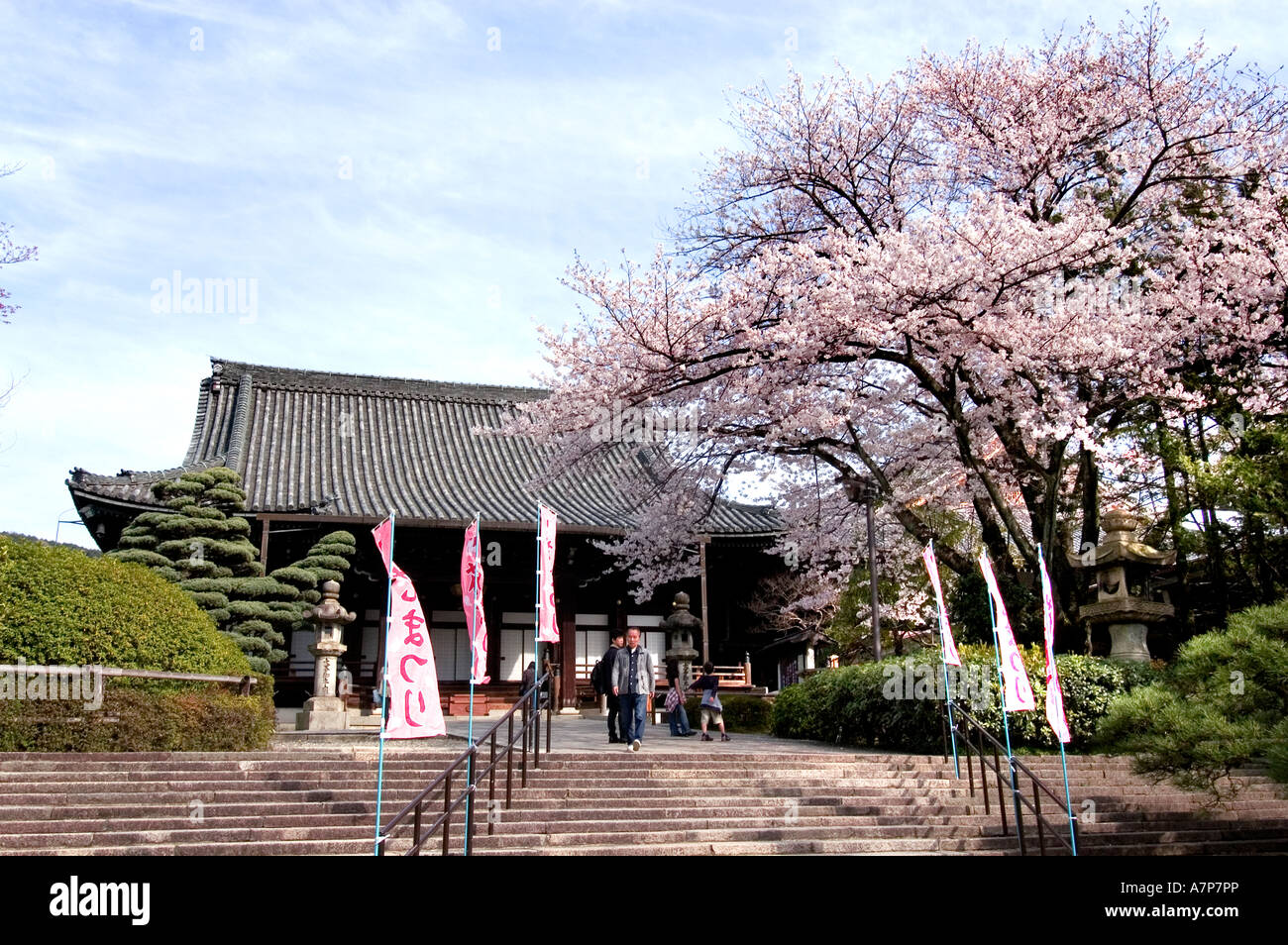 Il Tempio di Meiji Jingu giardino interno Tokyo imperatore Foto Stock