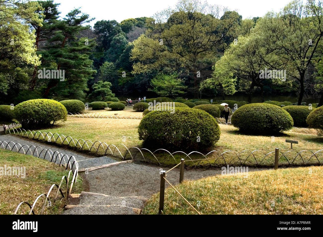 Giappone Tokyo Royal Tempio di Meiji e giardino interno Foto Stock
