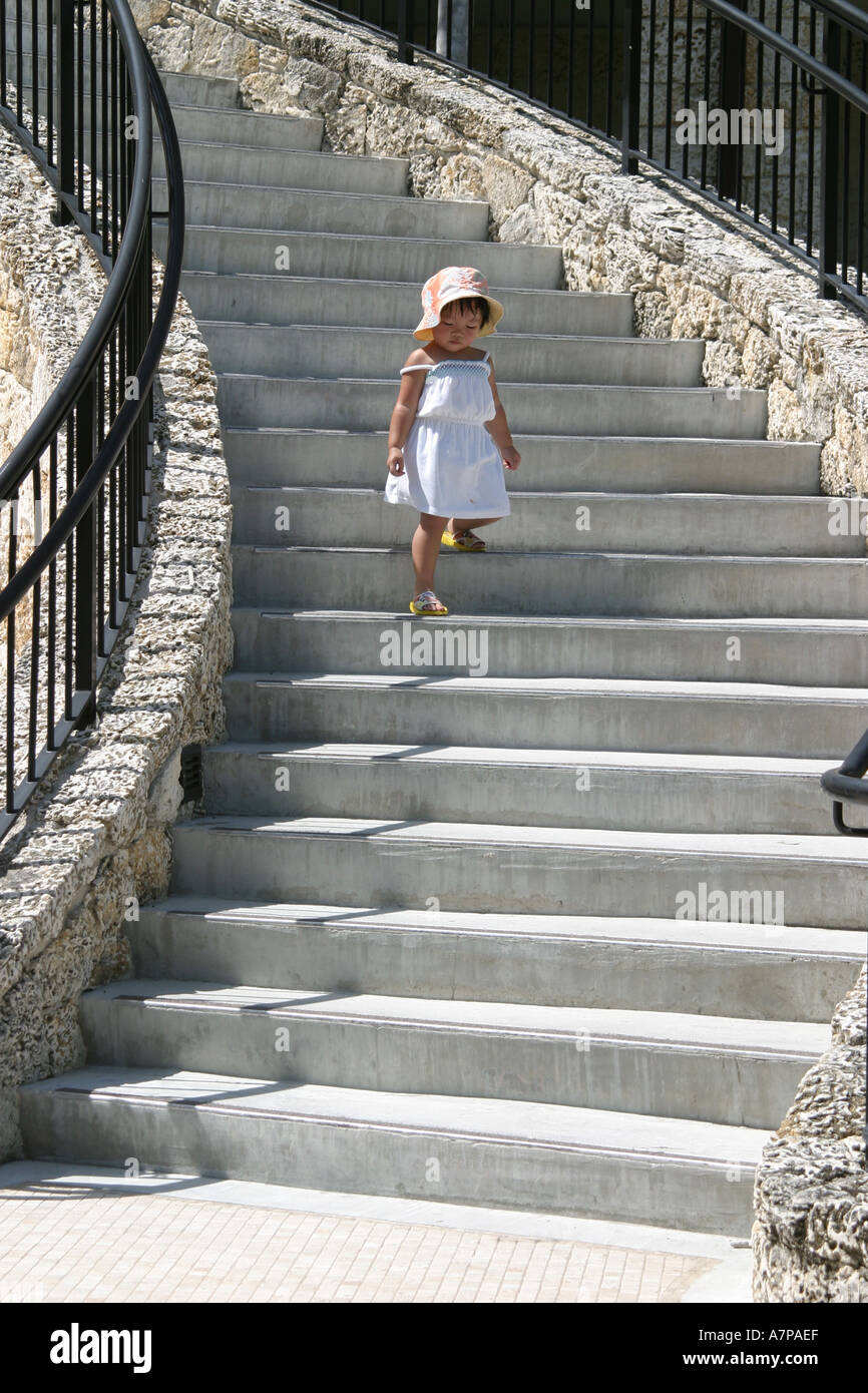 Miami Florida, Coral Gables, Fairchild Tropical Botanic Garden, ragazza asiatica, ragazze, bambino, donna donne, bambino, bambini, scale scalini, scala Foto Stock