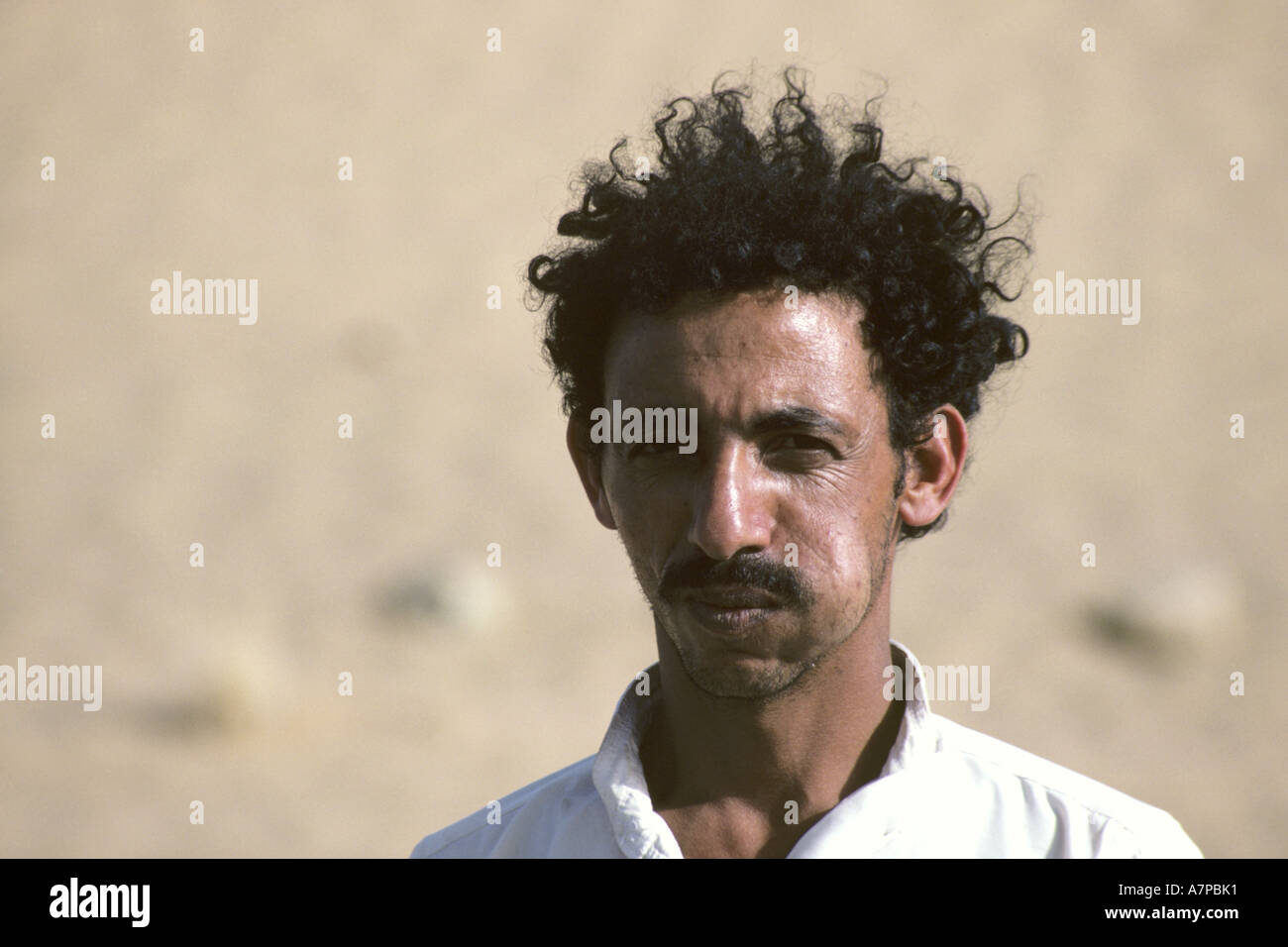 Arabia tè, Khat (Catha edulis), l uomo è la masticazione kat, Yemen, Maribor Foto Stock