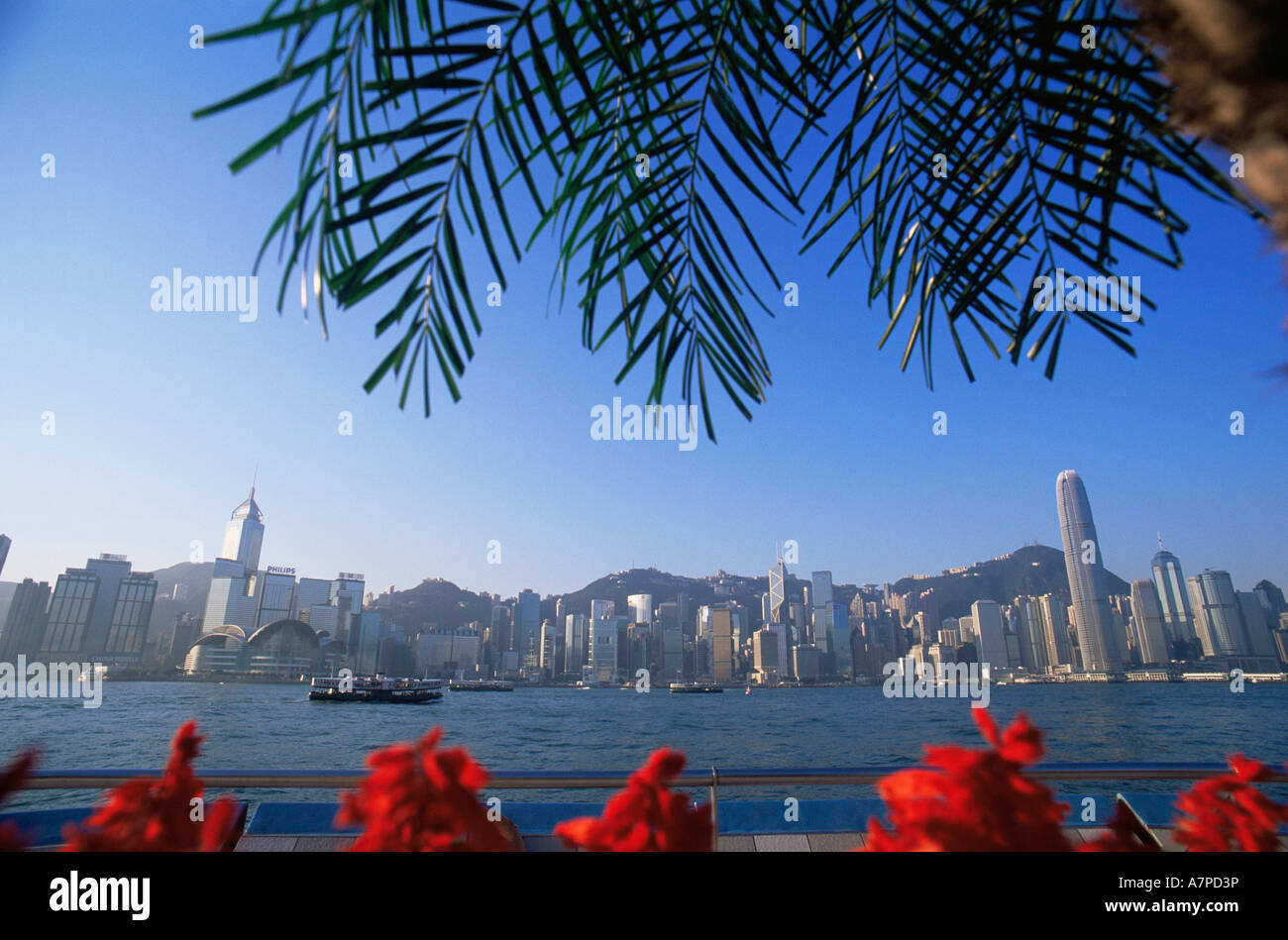 Cina, Hong Kong, skyline della città Foto Stock