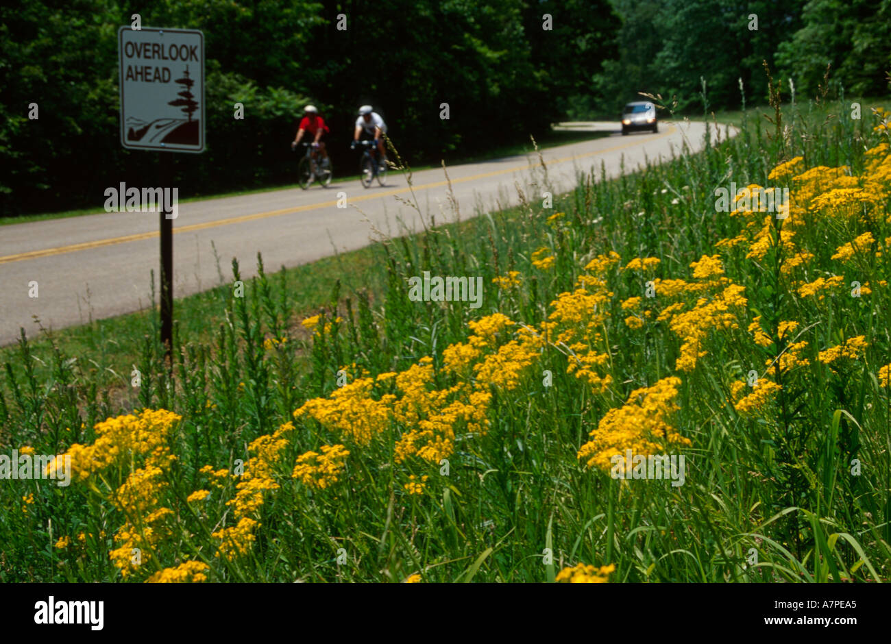 Virginia Appalachian Mountains, Southern Appalachia, Shenandoah, Blue Ridge Parkway, National Park Service, strada panoramica, viaggio in auto, natura historyl, Europa Foto Stock