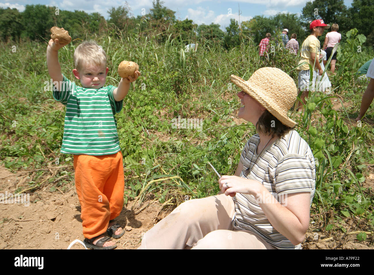 Virginia Loudoun County,Bluemont,Great Country Farms,cani,animali domestici,canine,animali,animali domestici,giorni Sunflower and Berry Festival,festival,celebrazione, Foto Stock