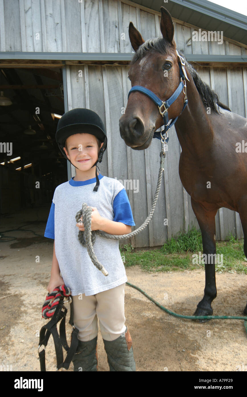 Virginia Loudoun County, Bluemont, serene acri, maneggio, cavalli, animali domestici, equino, VA0808040055 Foto Stock