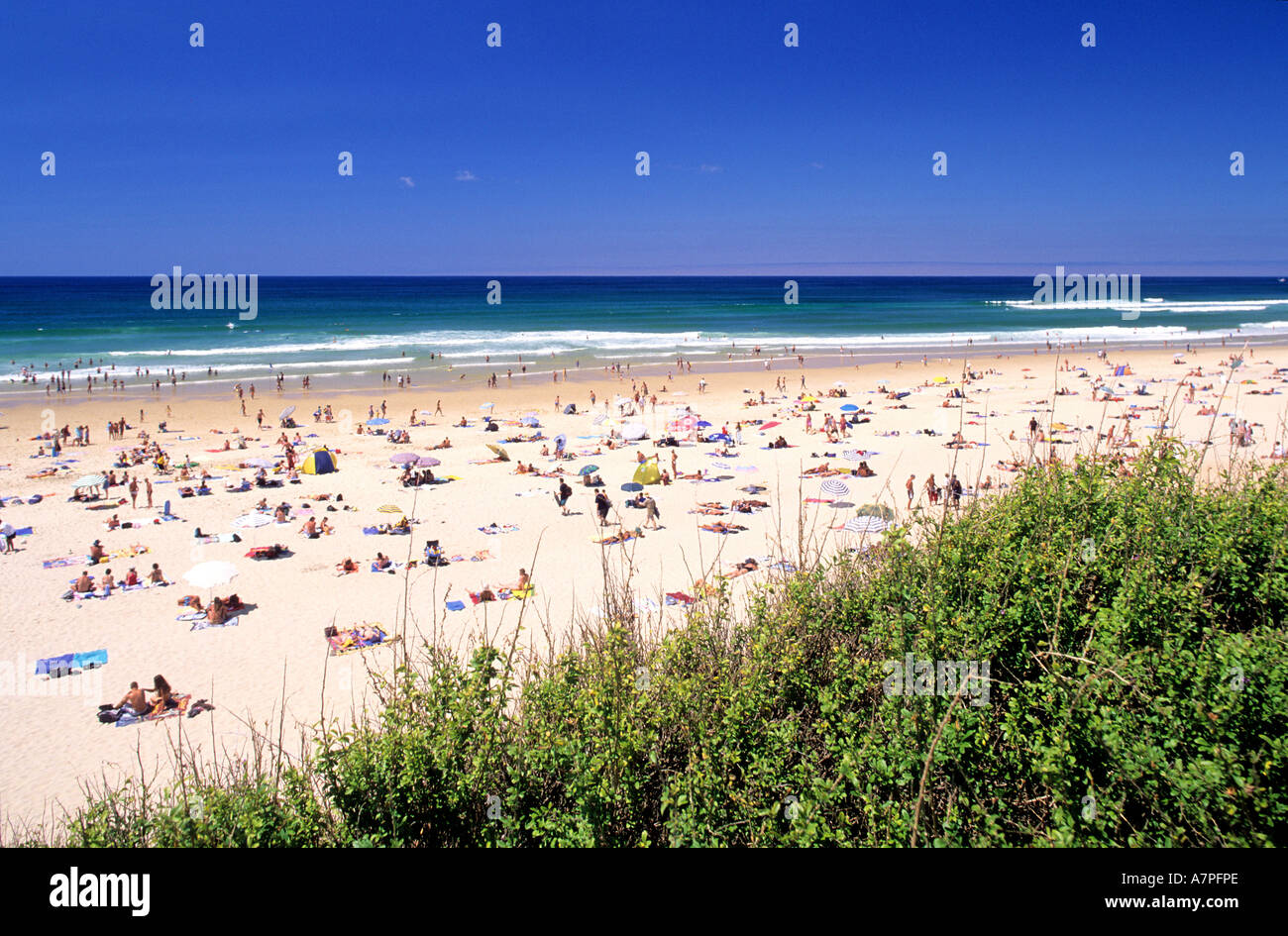 Francia, Landes, Golfo di Guascogna, selvaggia spiaggia di Capbreton Foto  stock - Alamy