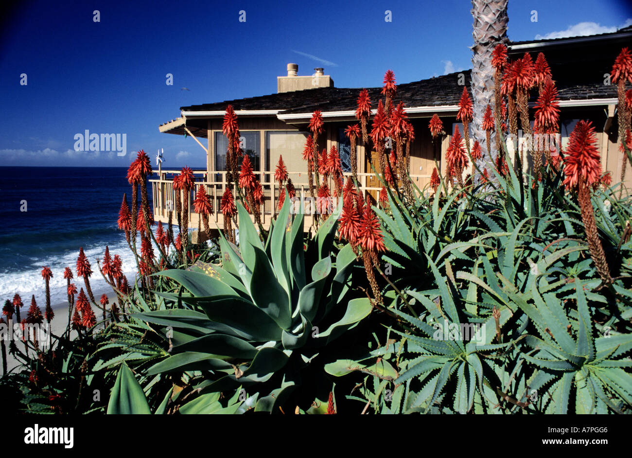 Gli Stati Uniti, California, Newport Beach, 20 km a sud di Los Angeles Foto Stock